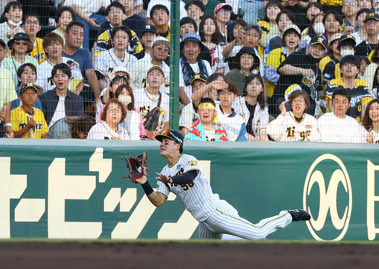 阪神対日本ハム　2回表日本ハム1死、左翼手前川は水野の邪飛を好捕する（撮影・上山淳一）