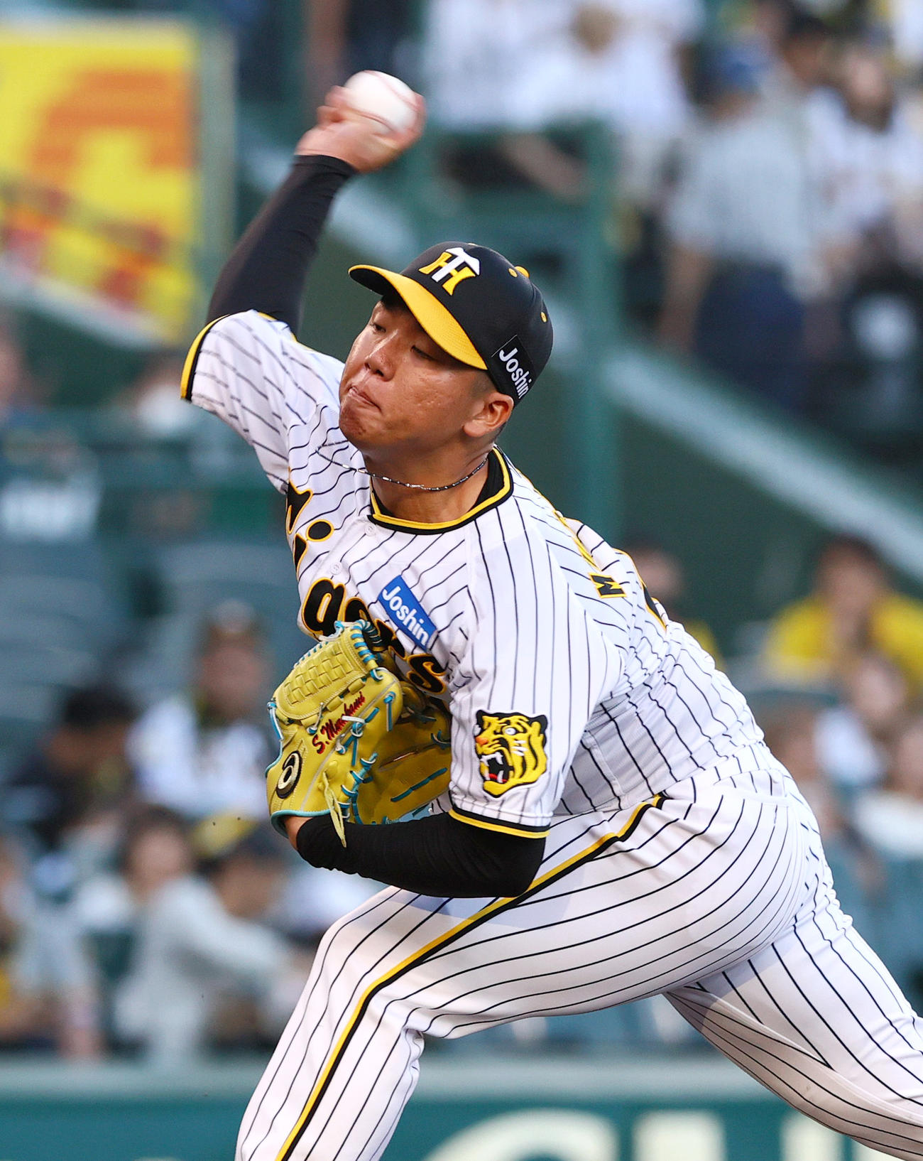 阪神対日本ハム　阪神先発の村上（撮影・上山淳一）