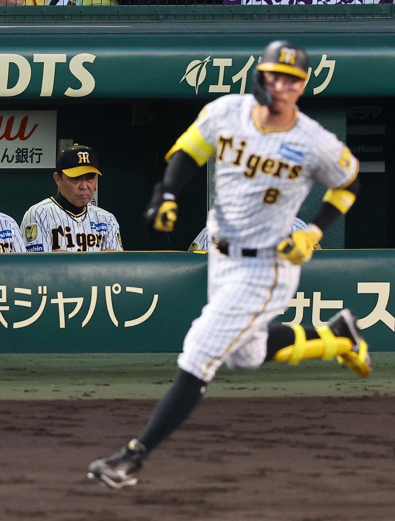 阪神対日本ハム　4回裏阪神2死一塁、佐藤輝の左飛に視線を落とす岡田監督（撮影・上田博志）