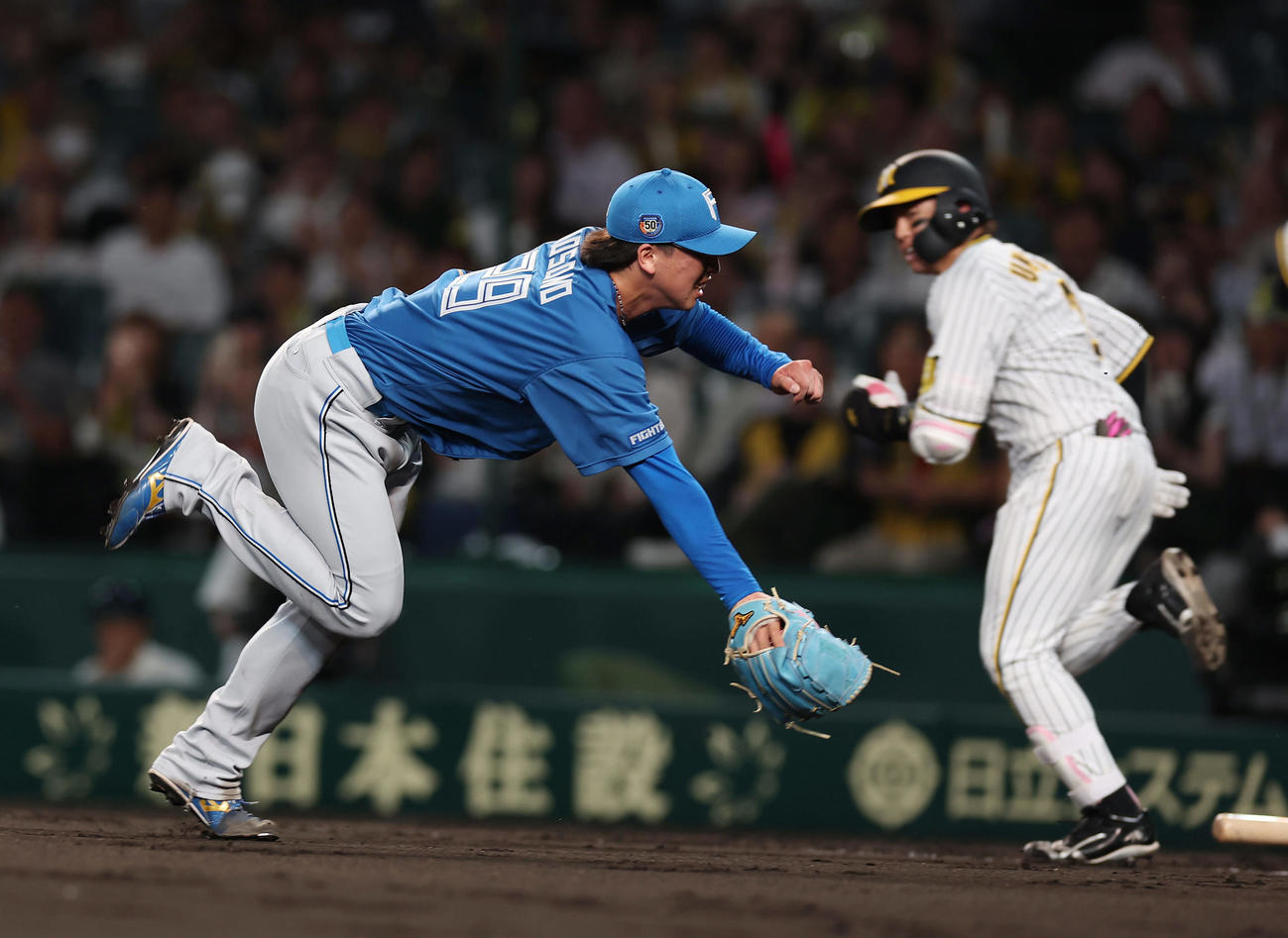 阪神対日本ハム　5回裏阪神無死一、三塁、梅野のバントを本塁へグラブトスする細野（撮影・前田充）