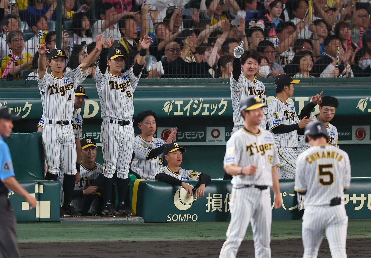 阪神対日本ハム　5回裏阪神2死満塁、近本の中前先制適時打で盛り上がる阪神ナイン（撮影・上田博志）