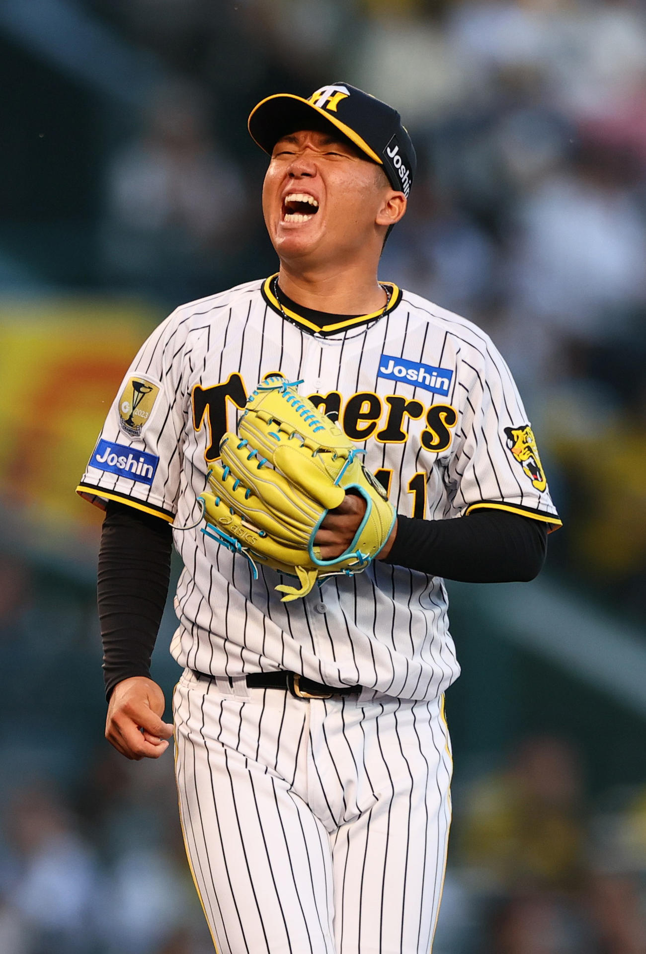 阪神対日本ハム　4回表日本ハム2死一塁、万波に投げ声を上げる村上（撮影・上山淳一）
