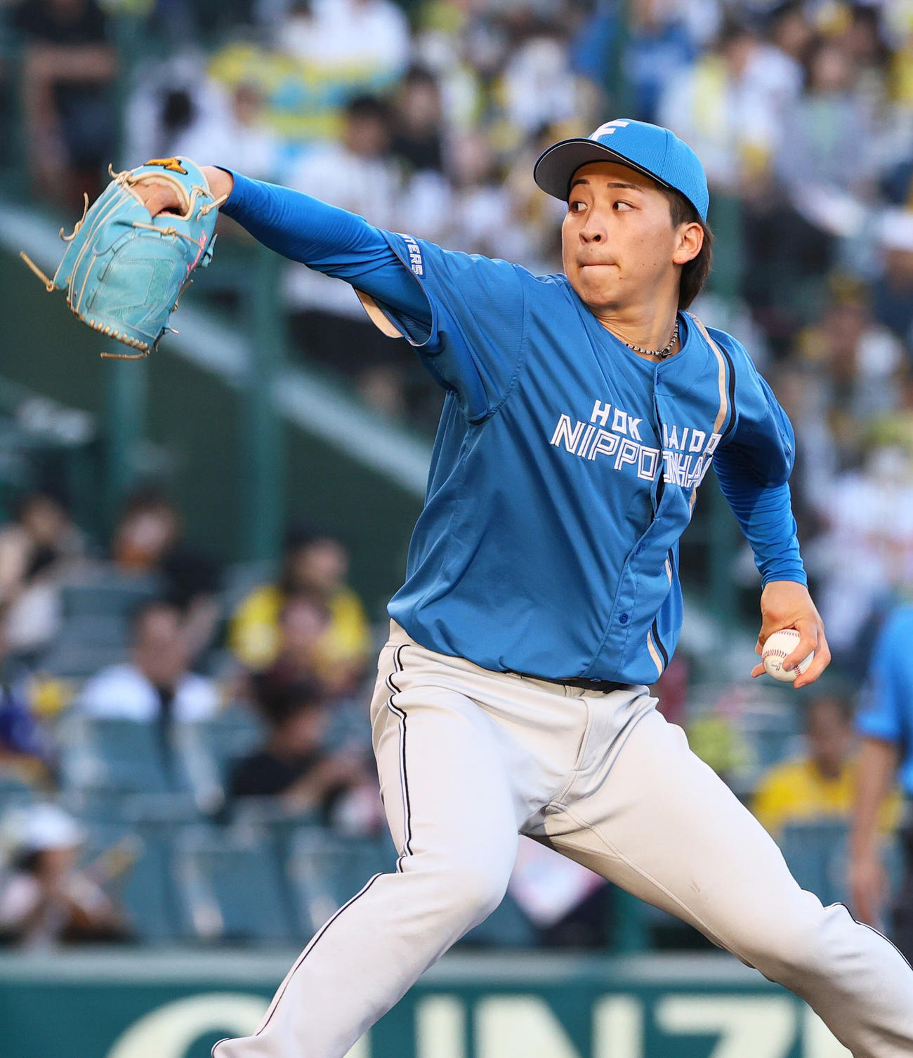 阪神対日本ハム　日本ハム先発の細野（撮影・上山淳一）
