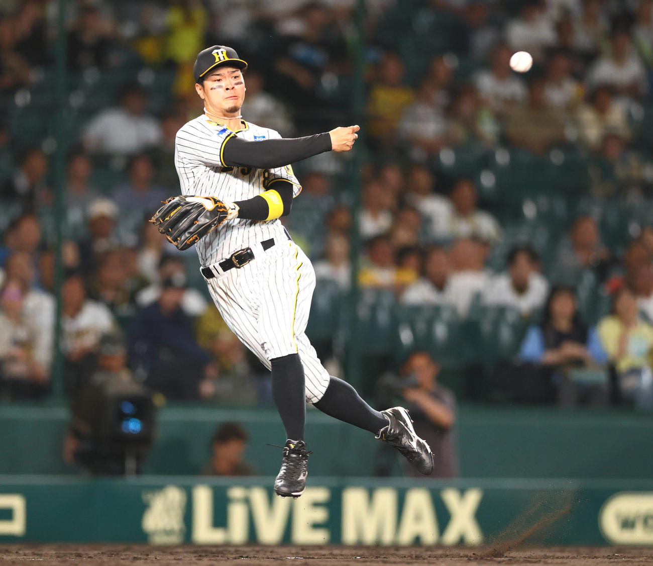 阪神対日本ハム　11回表日本ハム1死、三塁手佐藤輝は五十幡の三塁線バントを処理しアウトにする（撮影・上山淳一）