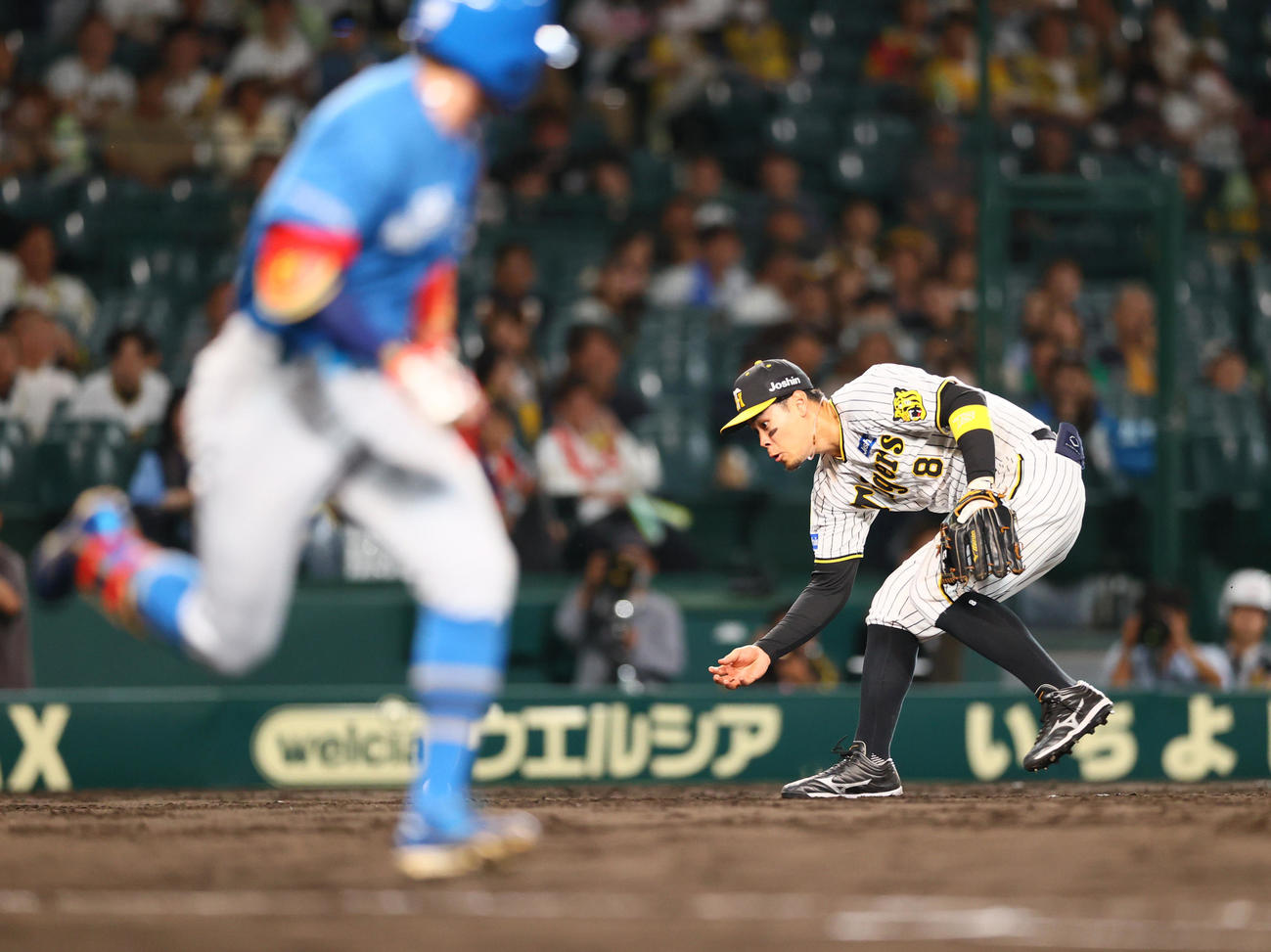 阪神対日本ハム　11回表日本ハム1死、五十幡のセーフティーバントを素手でつかみにいく佐藤輝（撮影・上山淳一）