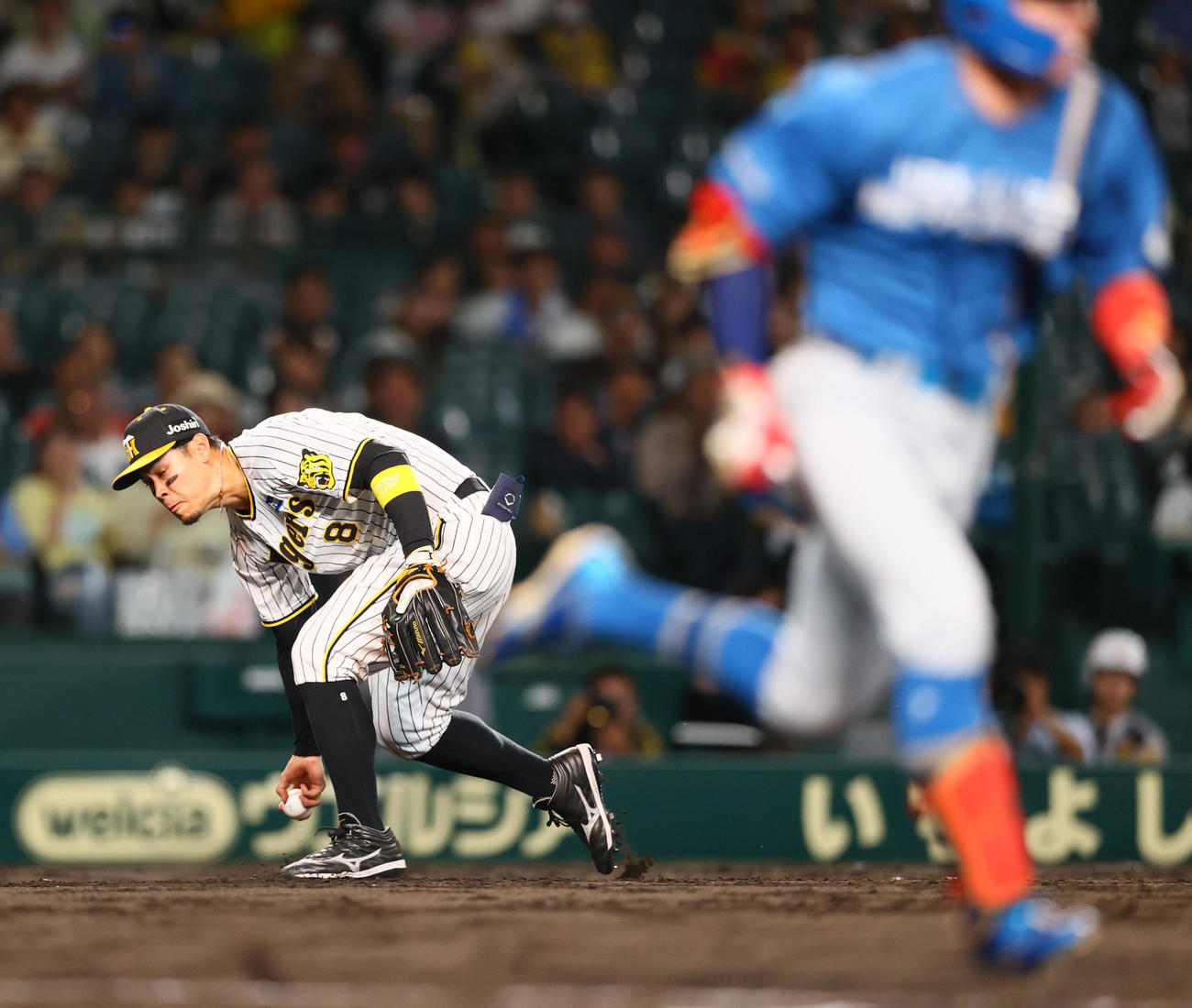 阪神対日本ハム　11回表日本ハム1死、五十幡の三塁線バントを素手でつかむ佐藤輝（撮影・上山淳一）