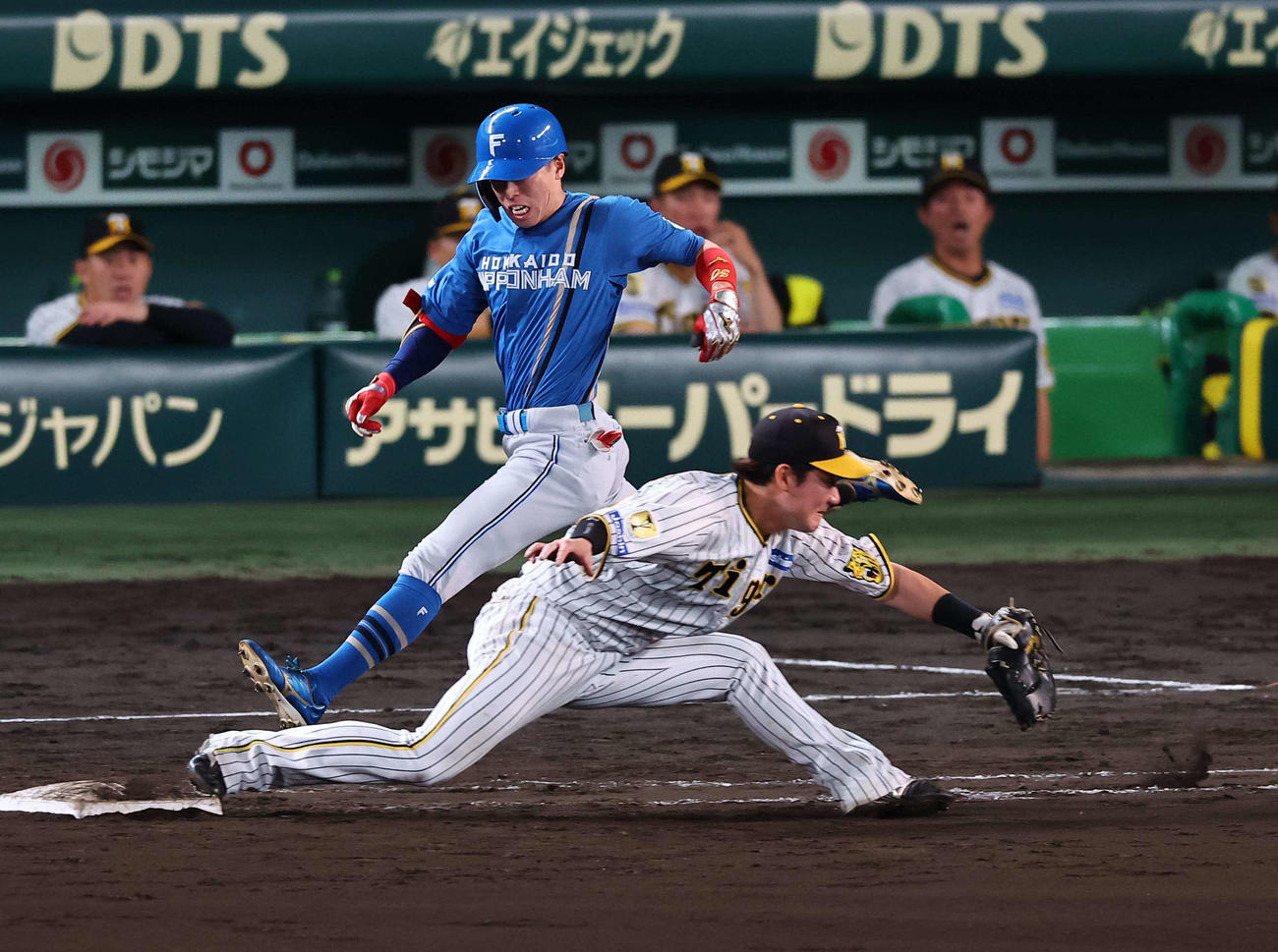 阪神対日本ハム　11回表日本ハム1死、五十幡はバント安打を狙うも佐藤輝の好守に阻まれる（撮影・上田博志）