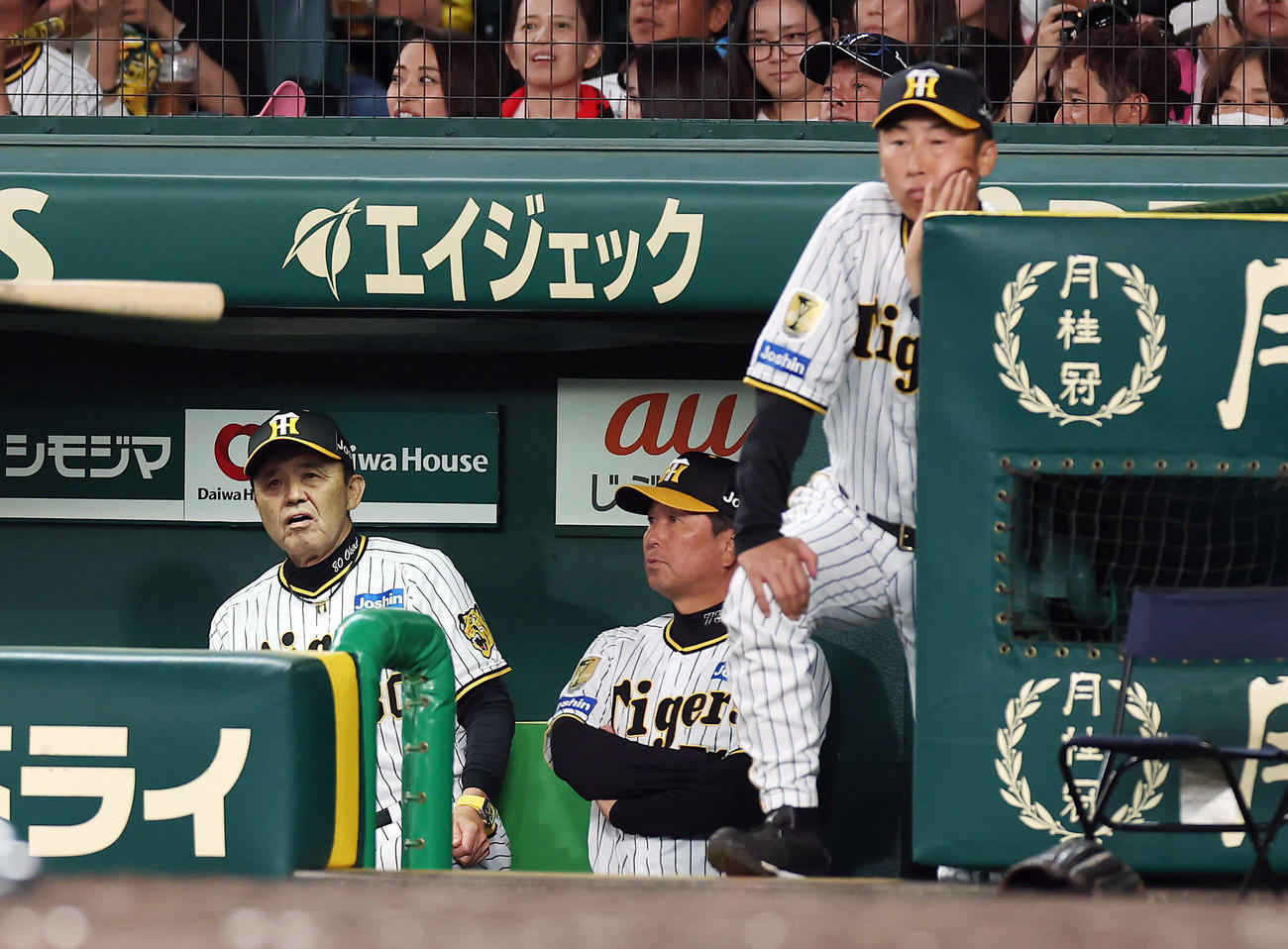 阪神対日本ハム　5回裏阪神1死満塁、原口の右邪飛で三走森下がタッチアップできず、ベンチで厳しい表情を見せる岡田監督（左）（撮影・前田充）
