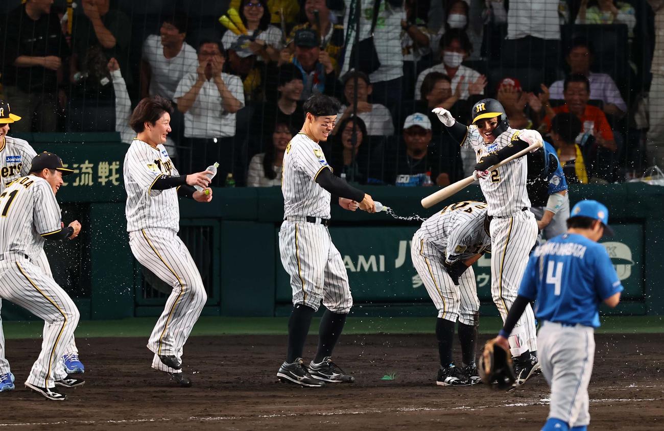 阪神対日本ハム　11回、サヨナラ勝利しウオーターシャワーを浴びる梅野（右）と植田（撮影・上田博志）