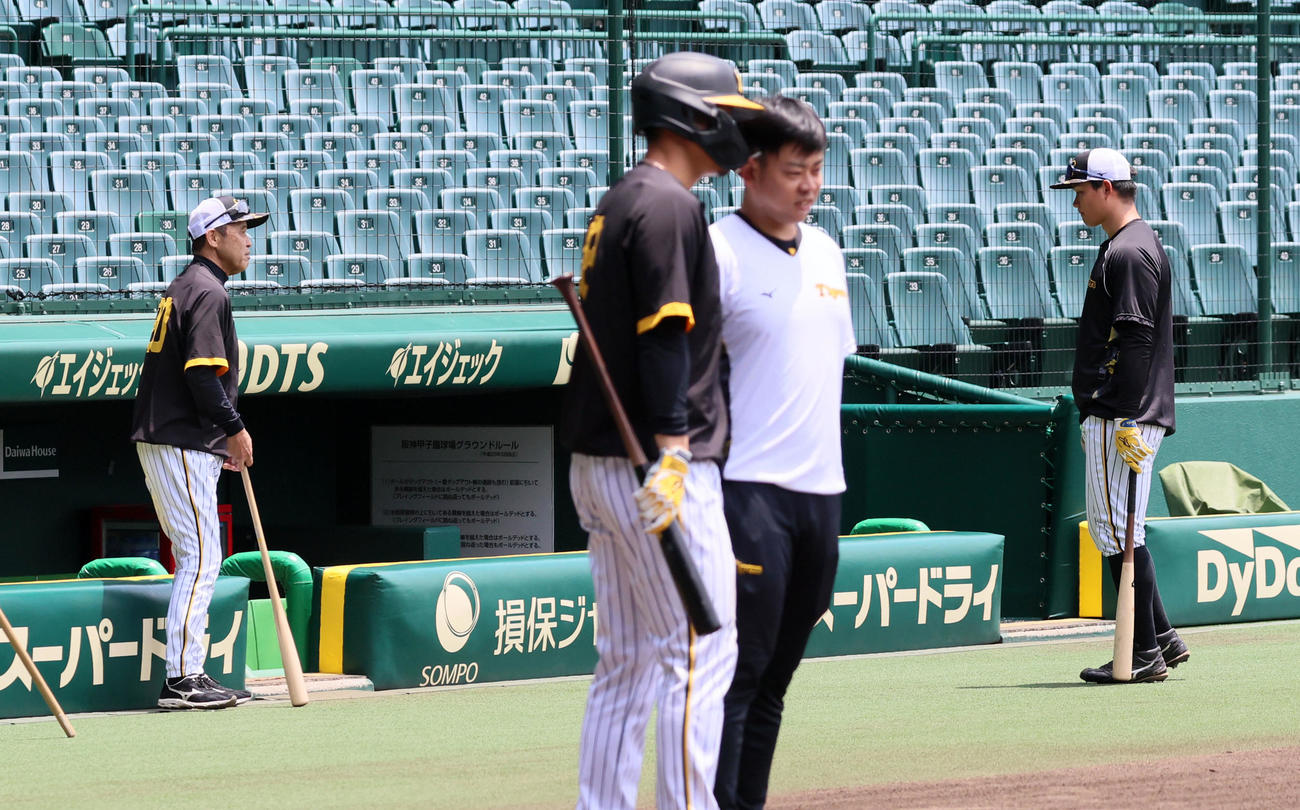 打撃練習中、三塁側ベンチ前で森下（右）に打撃アドバイス送る岡田監督（撮影・加藤哉）