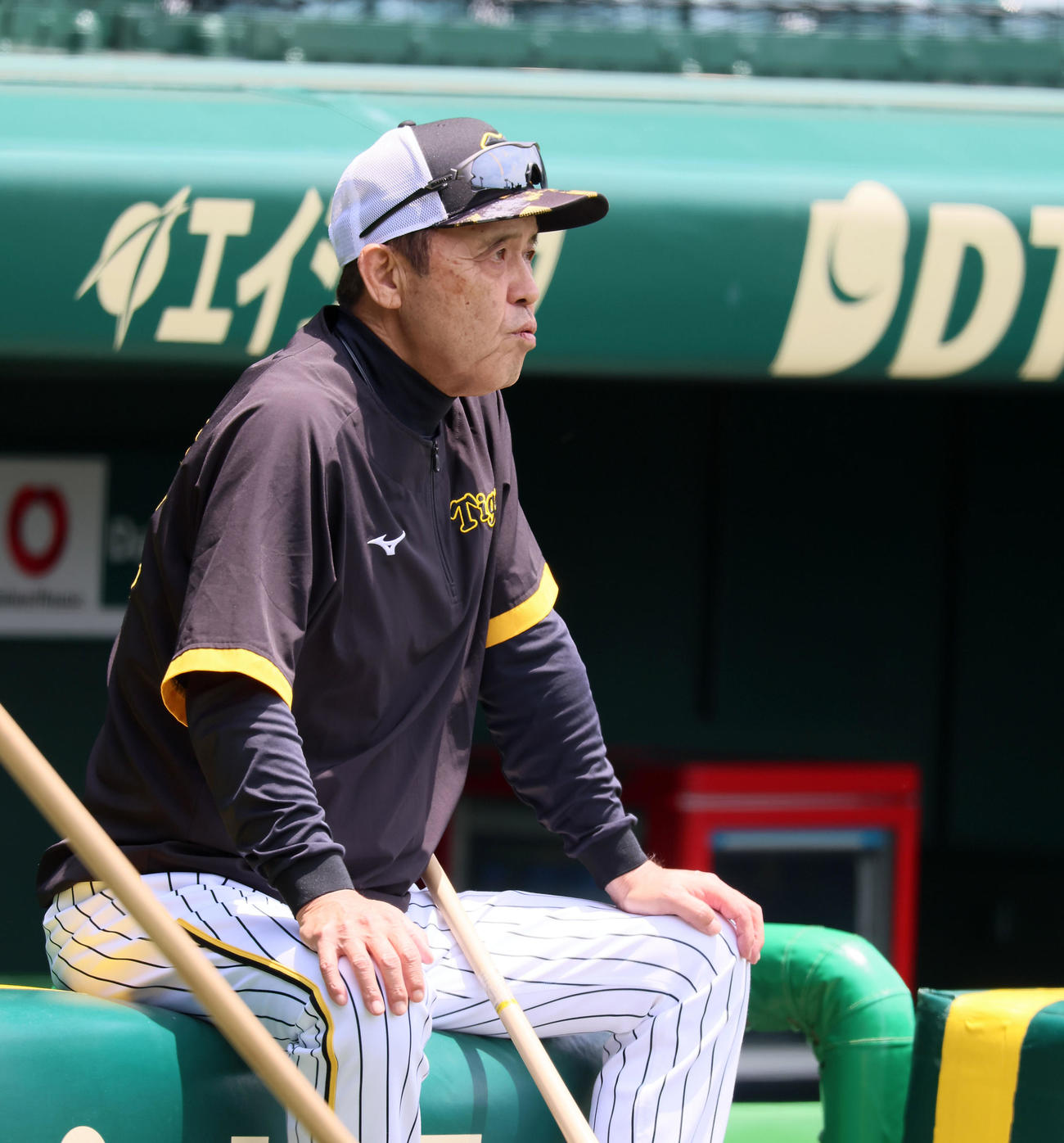 練習を見守る阪神・岡田監督（撮影・加藤哉）