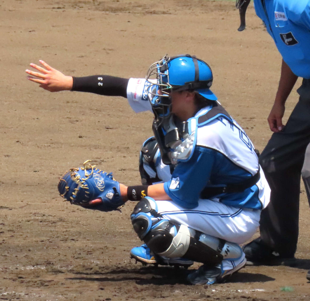 イースタン・リーグ　日本ハム対オイシックス　内野手に指示を送る日本ハム伏見（撮影・黒須亮）