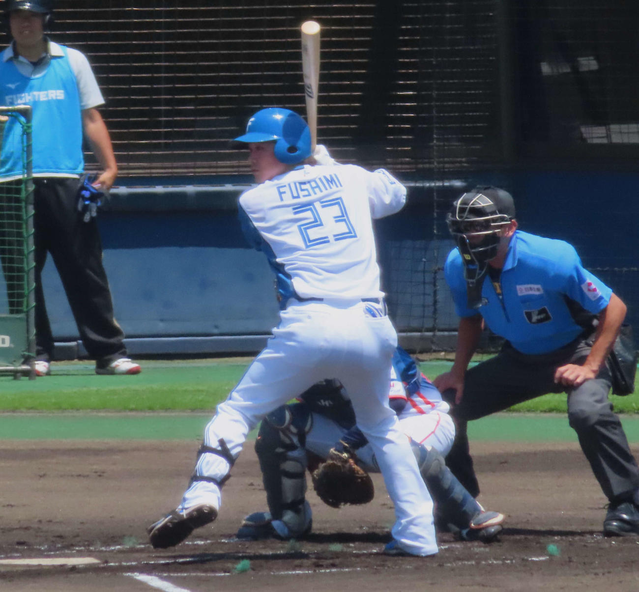 イースタン・リーグ　日本ハム対オイシックス　打席に立つ日本ハム伏見（撮影・黒須亮）
