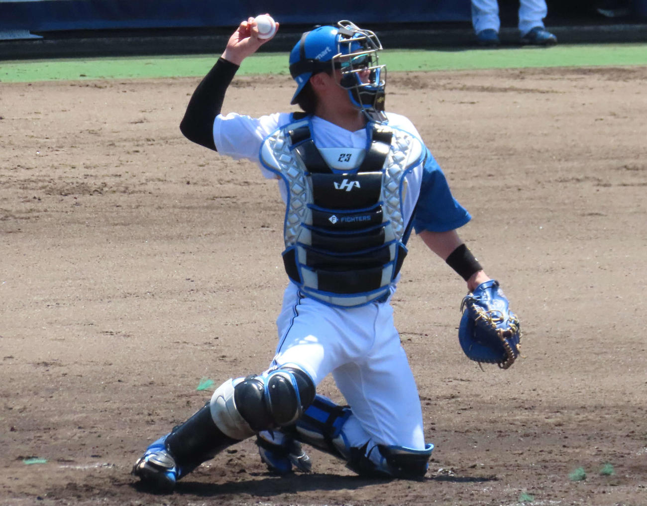 イースタン・リーグ　日本ハム対オイシックス　守備に就く日本ハム伏見（撮影・黒須亮）