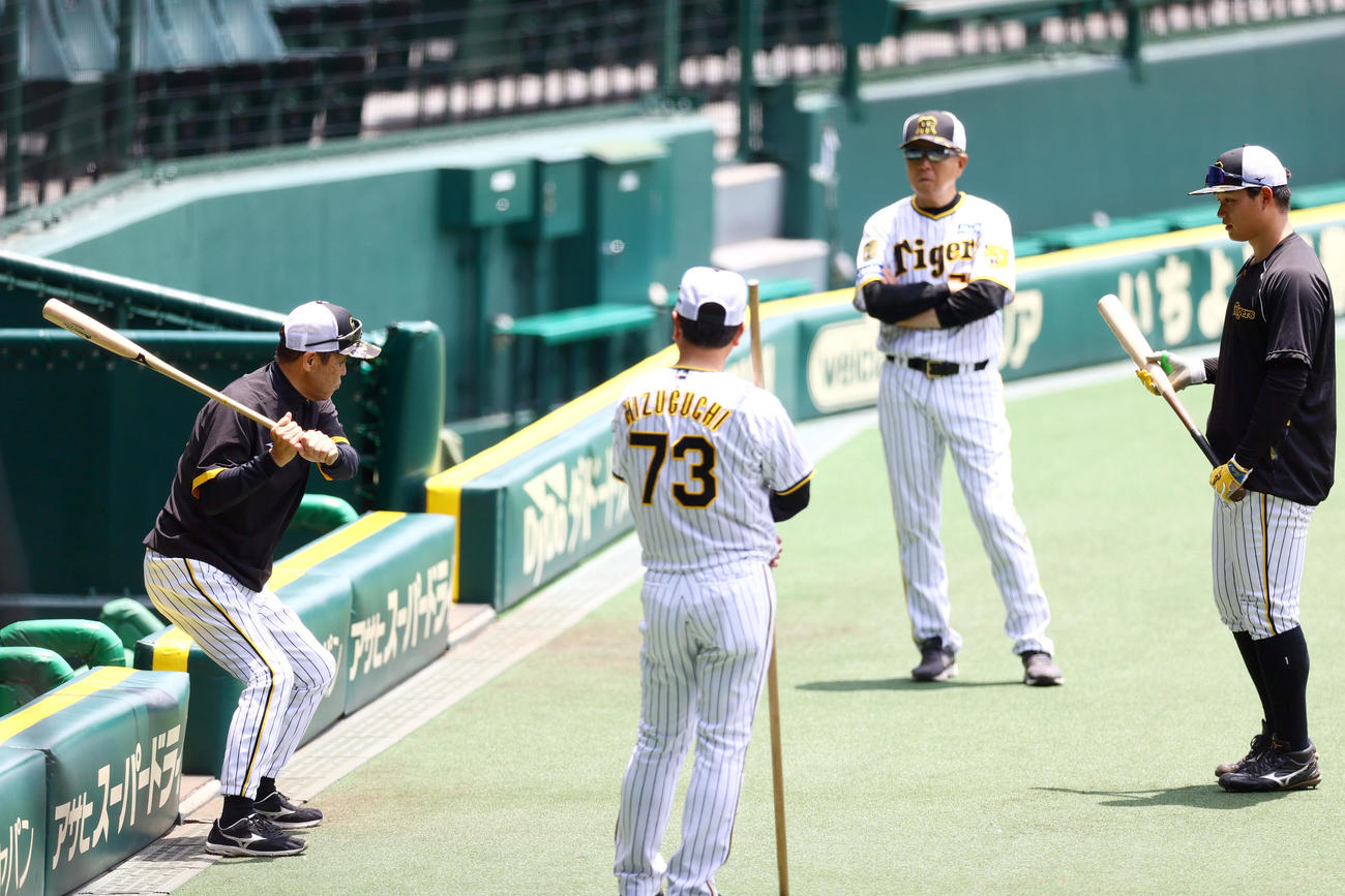 阪神岡田監督（左）は森下（右）に直接打撃指導する（撮影・上山淳一）
