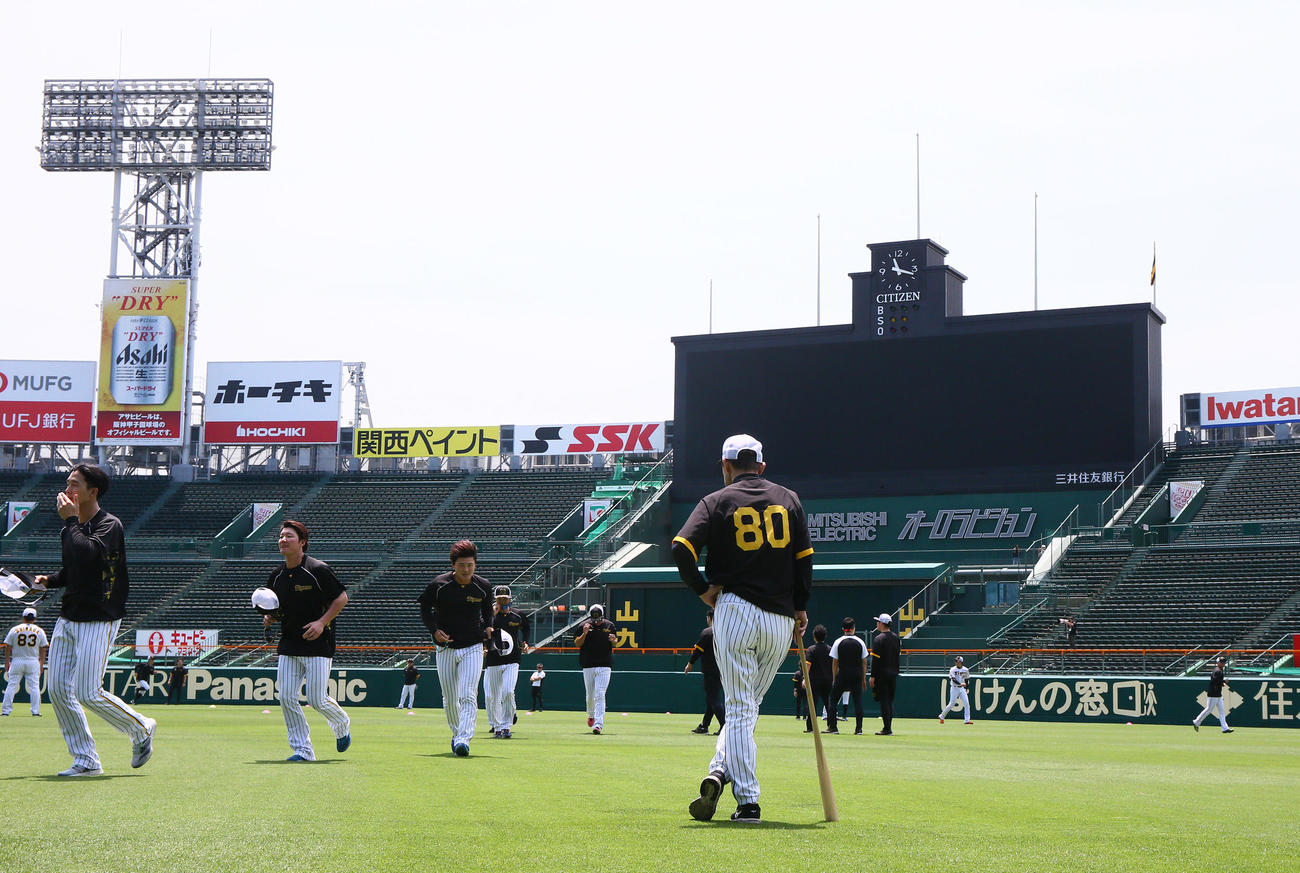 甲子園球場で練習を確認する岡田監督（撮影・上山淳一）