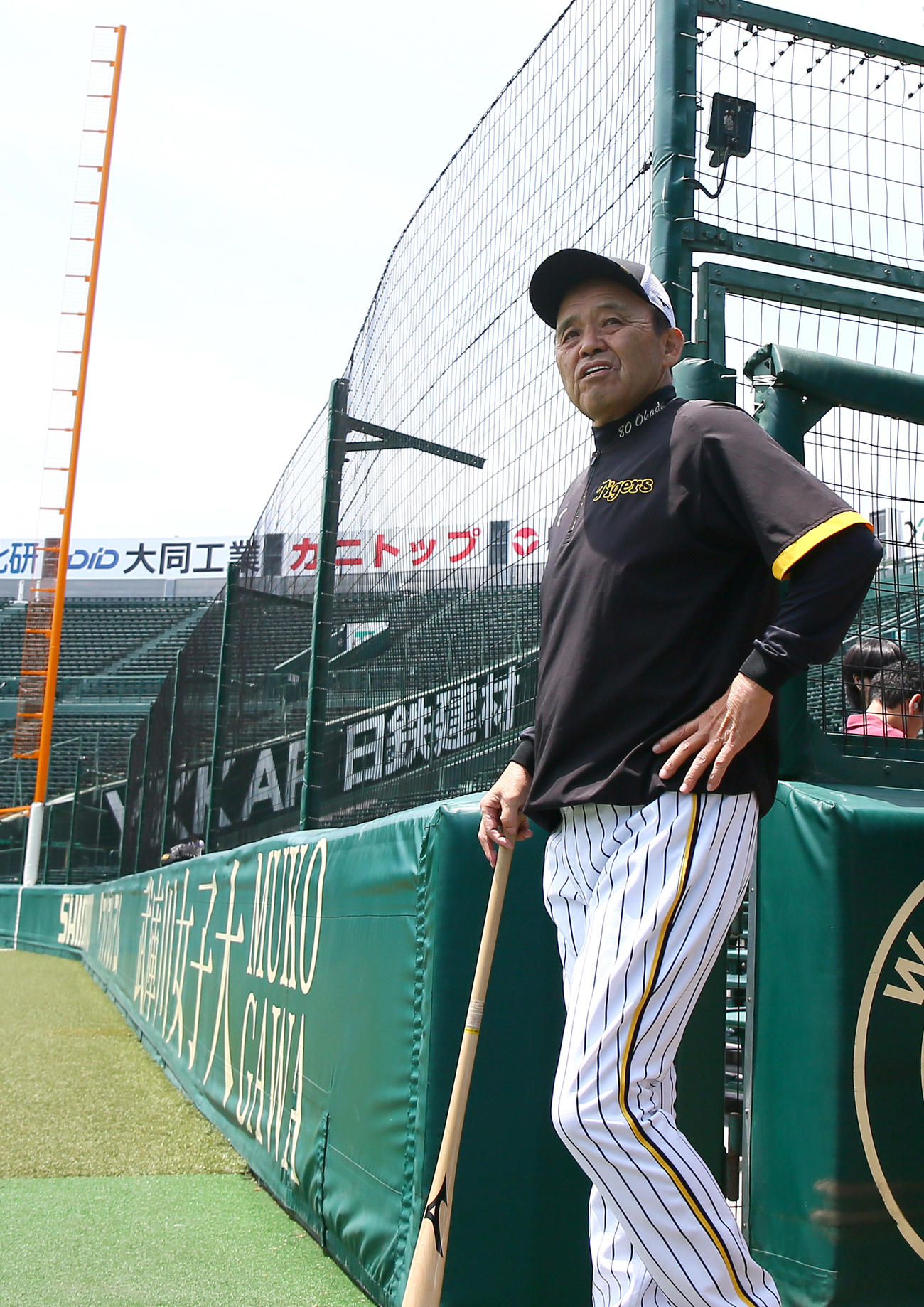 グラウンドを見渡す阪神岡田監督（撮影・上山淳一）