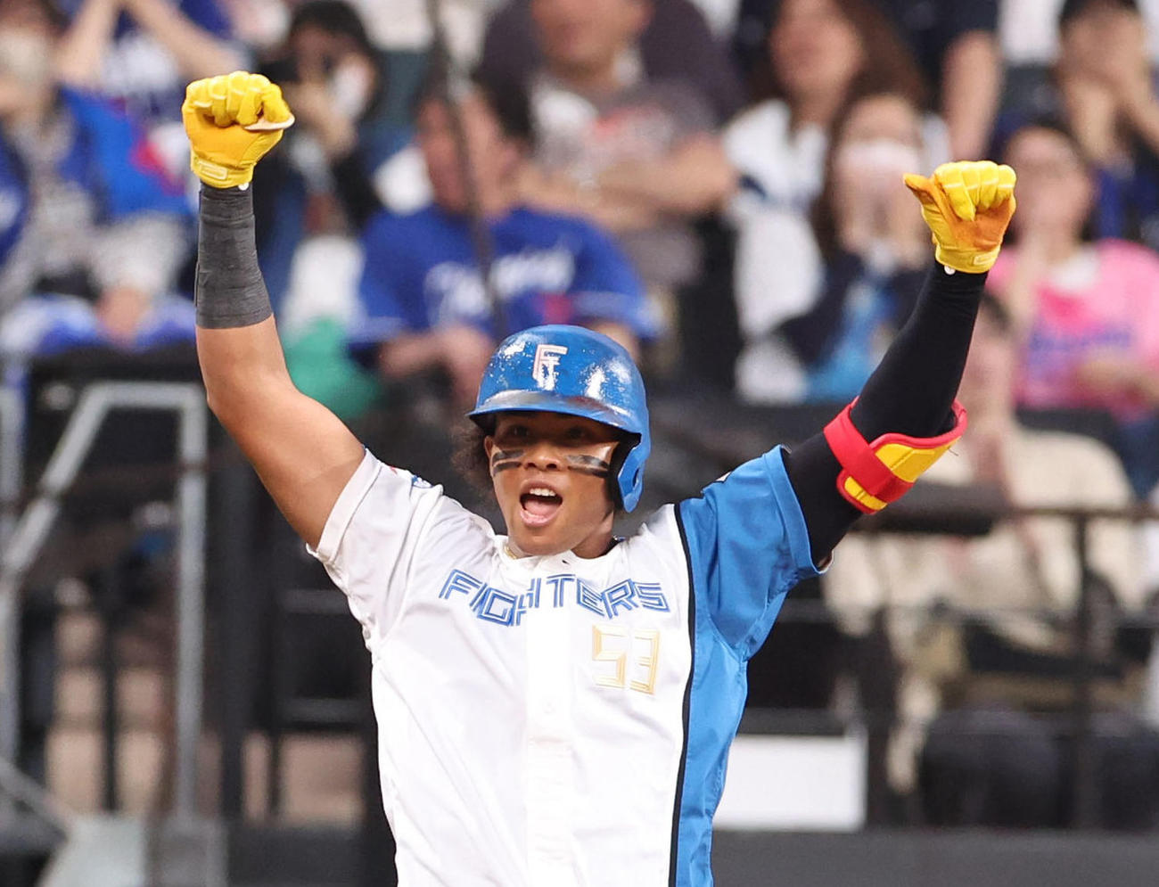 日本ハム水谷瞬（24年6月13日撮影）