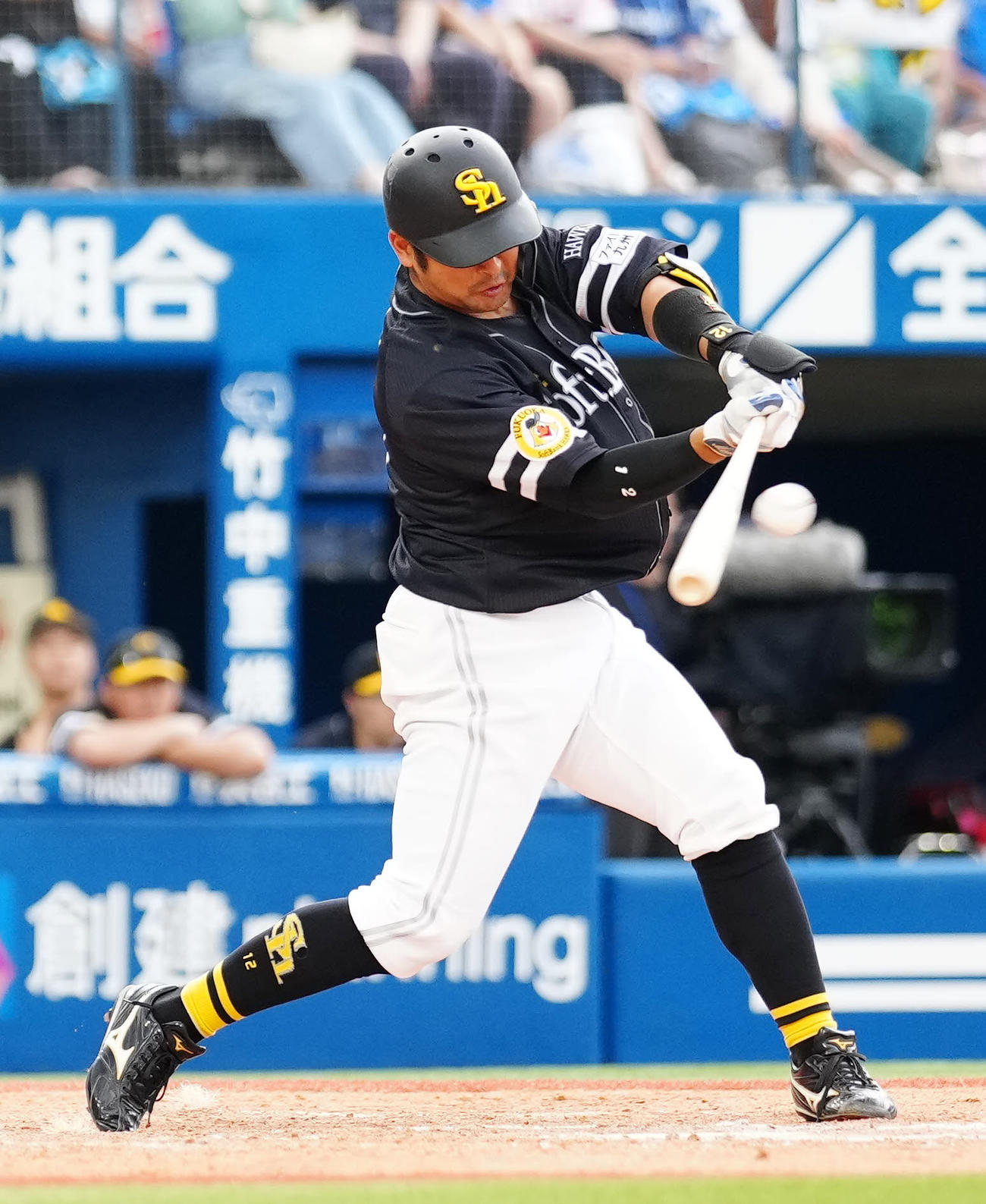 ソフトバンク嶺井博希（2024年6月9日撮影）