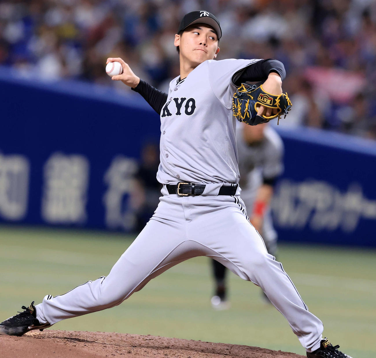 京本真（2024年5月6日撮影）