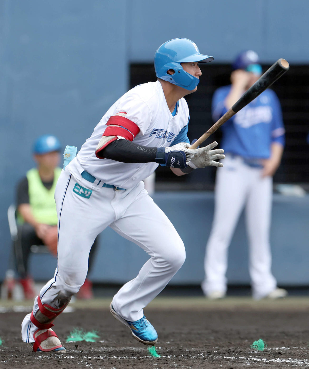 日本ハム阪口楽（2024年2月23日撮影）