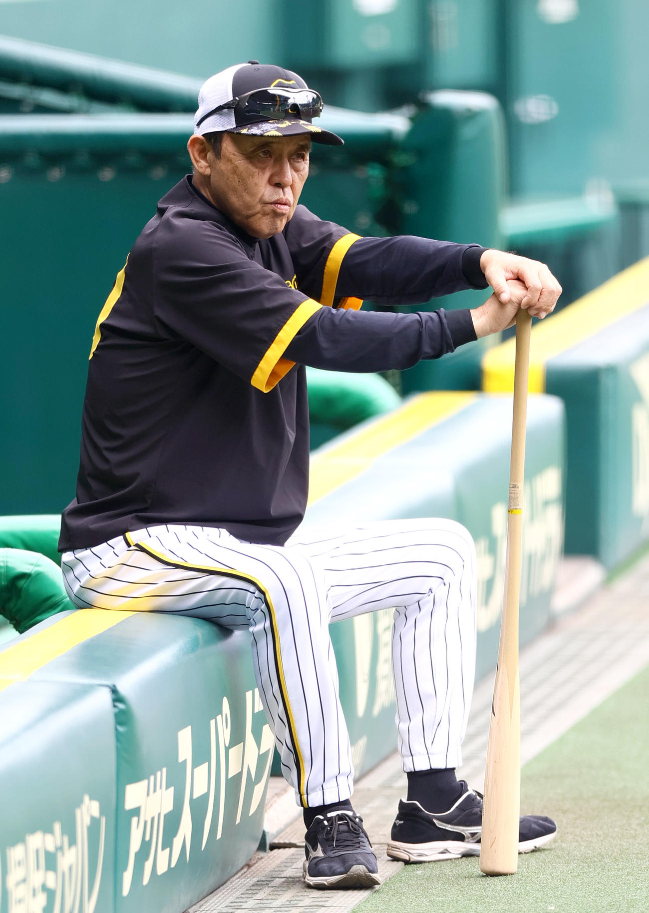 鋭い視線で練習を見つめる阪神岡田監督（撮影・上山淳一）