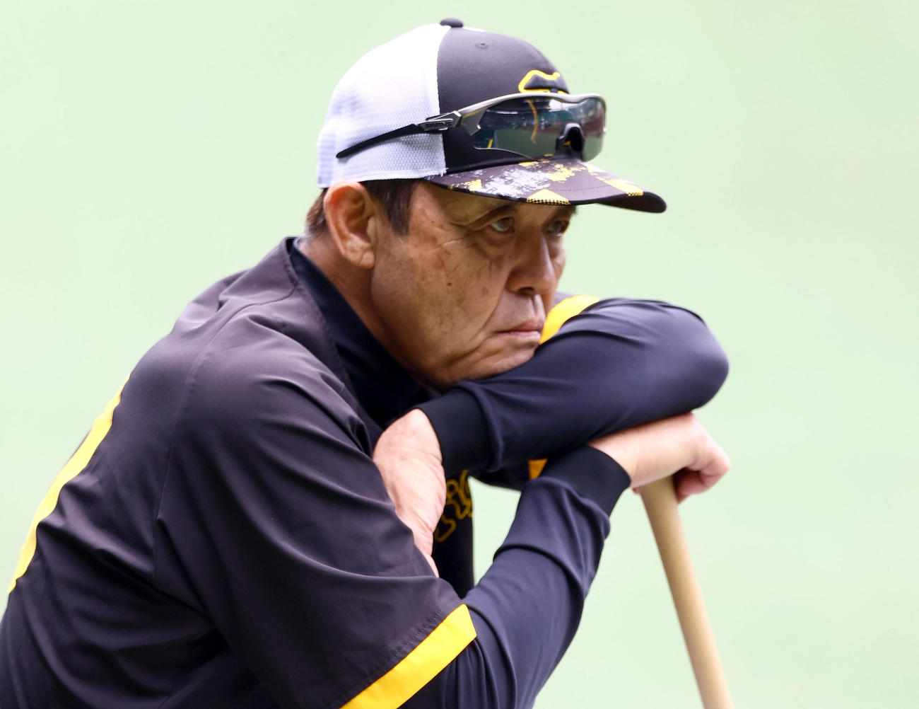 鋭い視線で練習を見つめる阪神岡田監督（撮影・上山淳一）