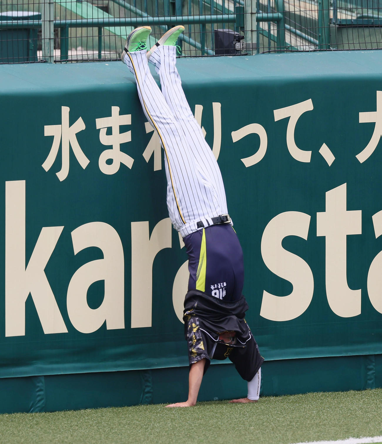 練習前に倒立する西勇（撮影・加藤哉）