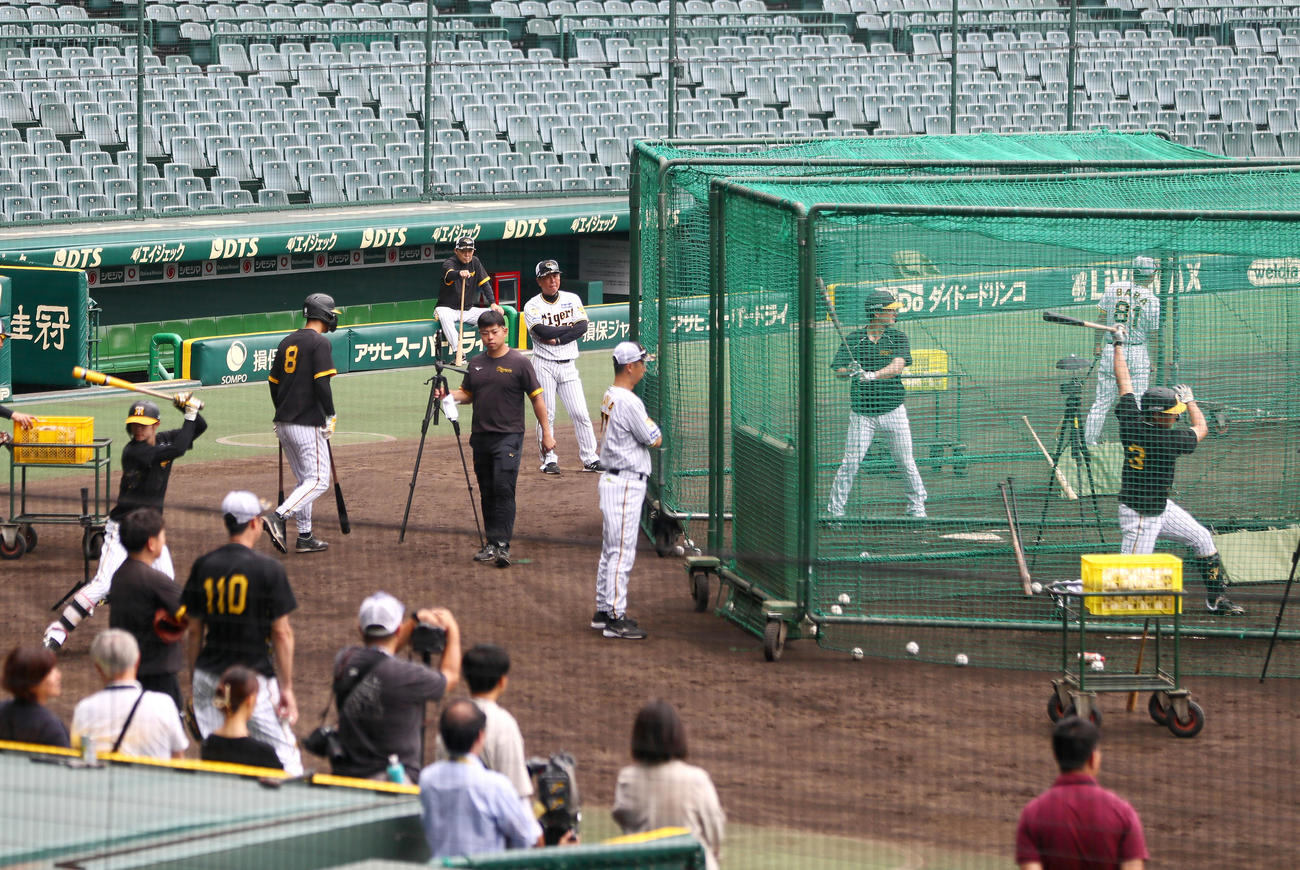 甲子園球場で練習に励む阪神の選手ら（撮影・上山淳一）