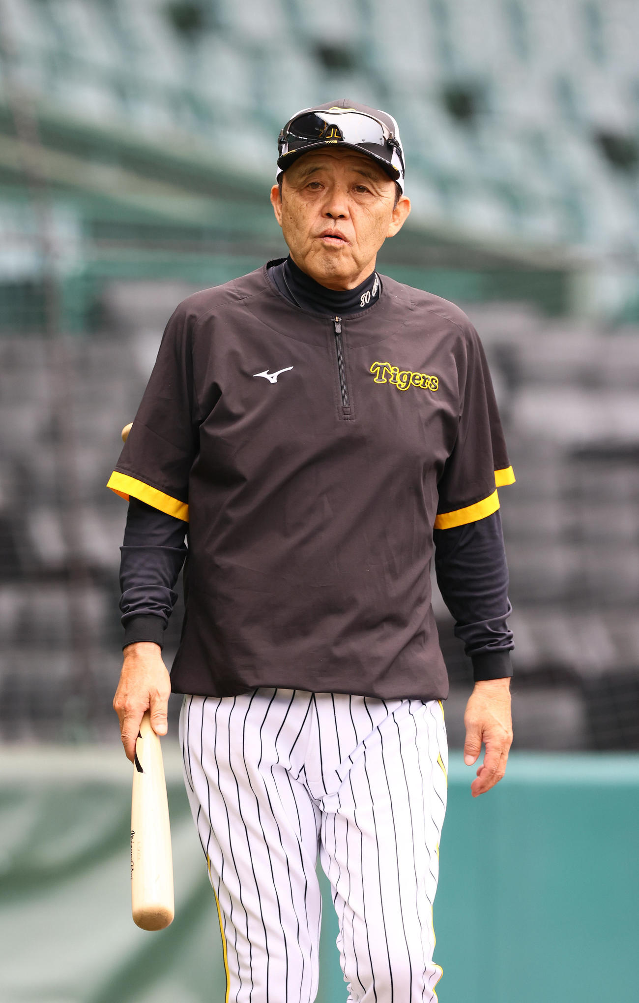 練習を確認する阪神岡田監督（撮影・上山淳一）