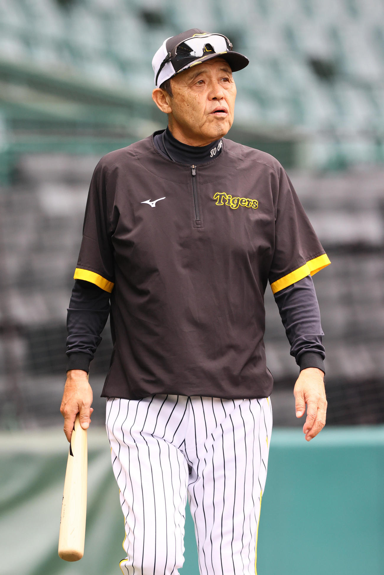 練習を見守る阪神岡田監督（撮影・上山淳一）