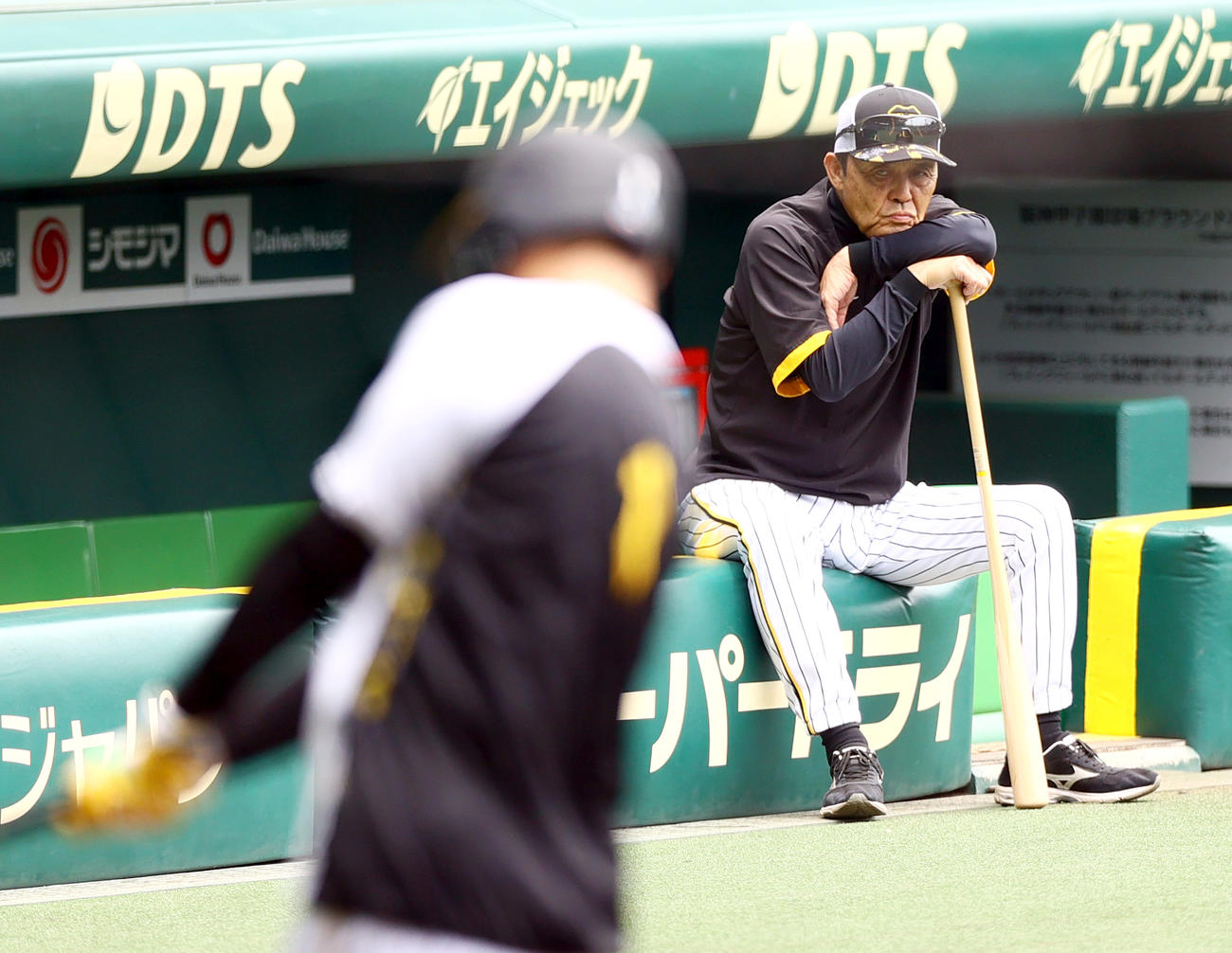 トス打撃する森下（手前）を見つめる阪神岡田監督（撮影・上山淳一）