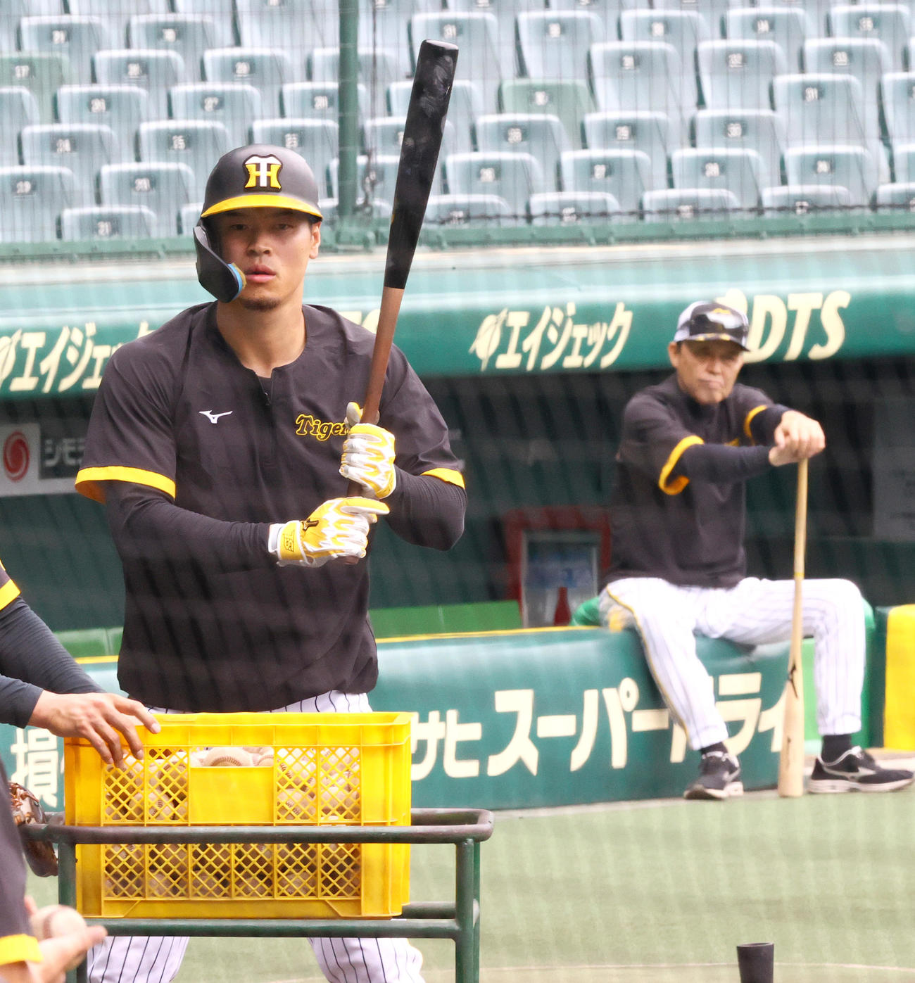 岡田監督（奥）が見つめる中、打撃練習する佐藤輝（撮影・上山淳一）