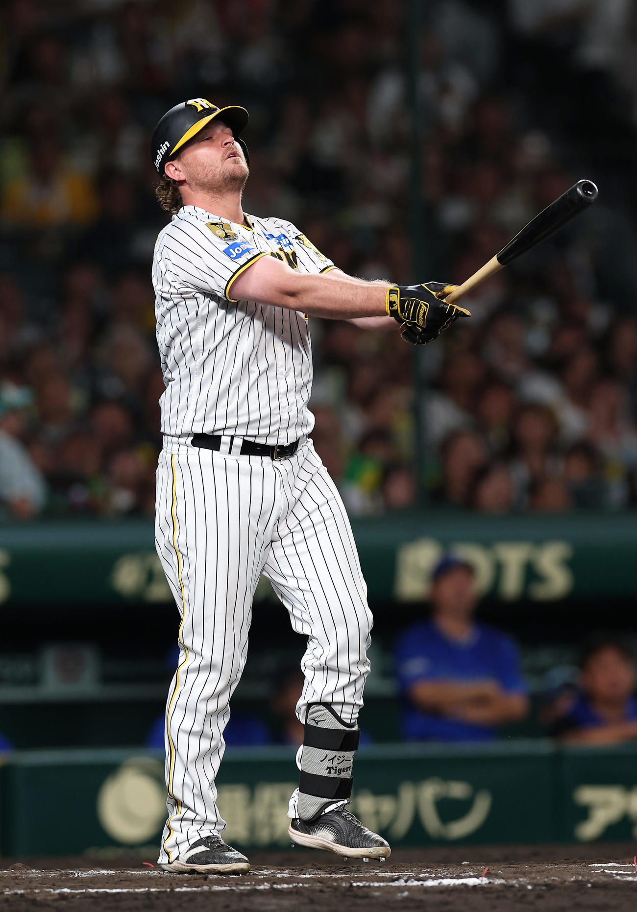 阪神対DeNA 7回裏阪神2死一、二塁、一邪飛に倒れる代打ノイジー（撮影・前田充）