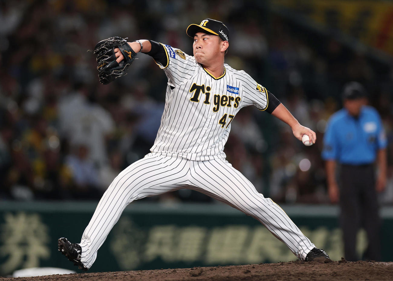 阪神対DeNA　力投する阪神2番手の桐敷（撮影・前田充）