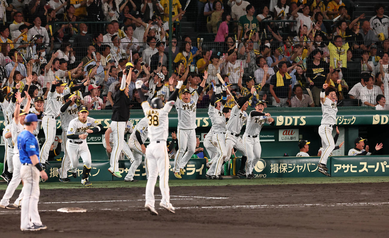 阪神対DeNA 9回裏阪神2死一、二塁、小幡の右適時打でサヨナラ勝ちを決めベンチのナインもジャンプして大喜び（撮影・加藤哉）