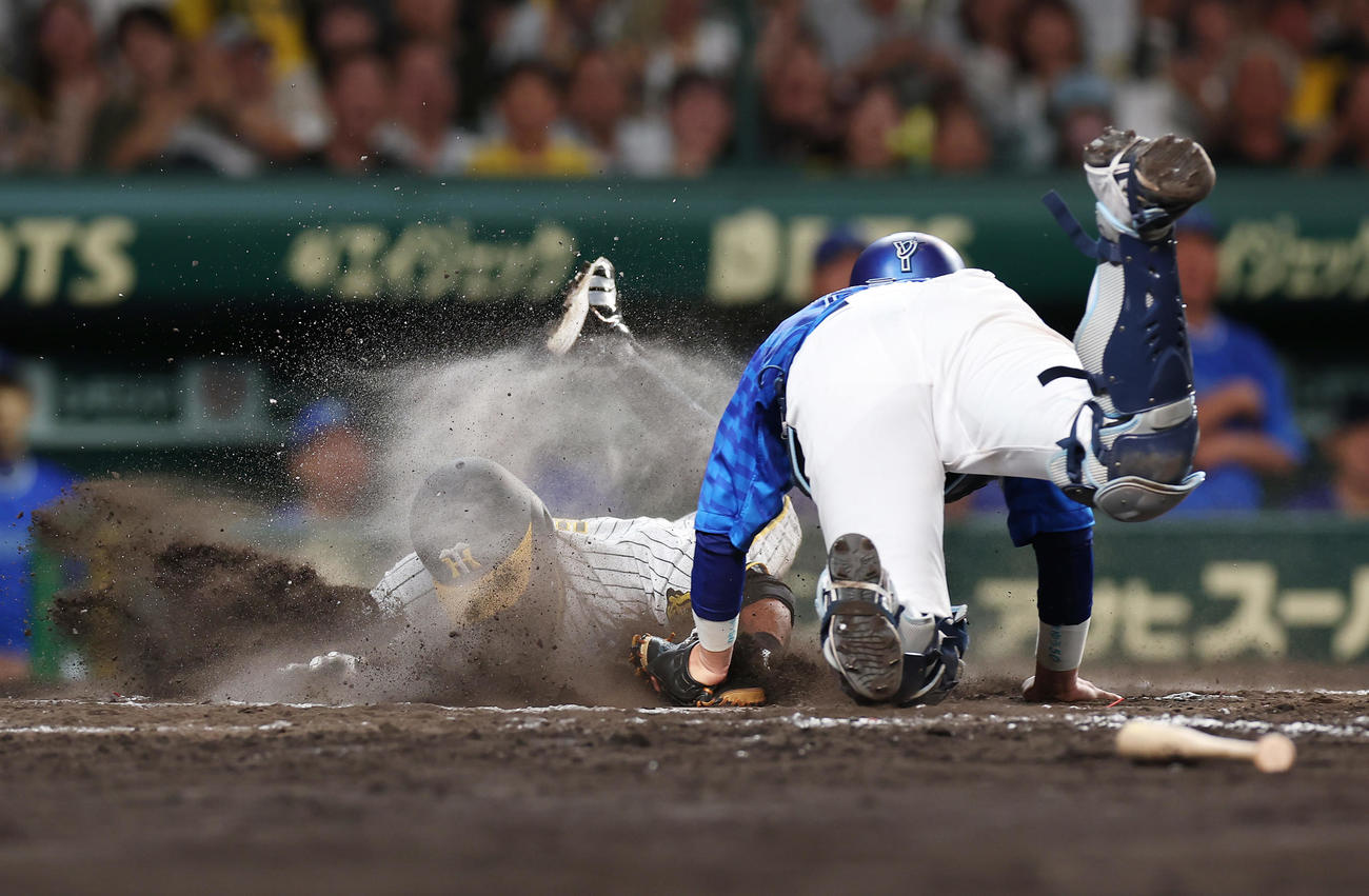 阪神対DeNA 9回裏阪神2死一、二塁、小幡の適時打でサヨナラの生還を果たす植田。捕手山本（撮影・前田充）