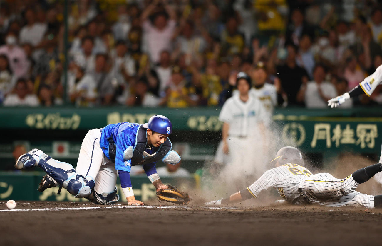 阪神対DeNA 9回裏阪神2死一、二塁、小幡の右前適時打で二走植田（右）がサヨナラ生還する。捕手山本（撮影・上山淳一）