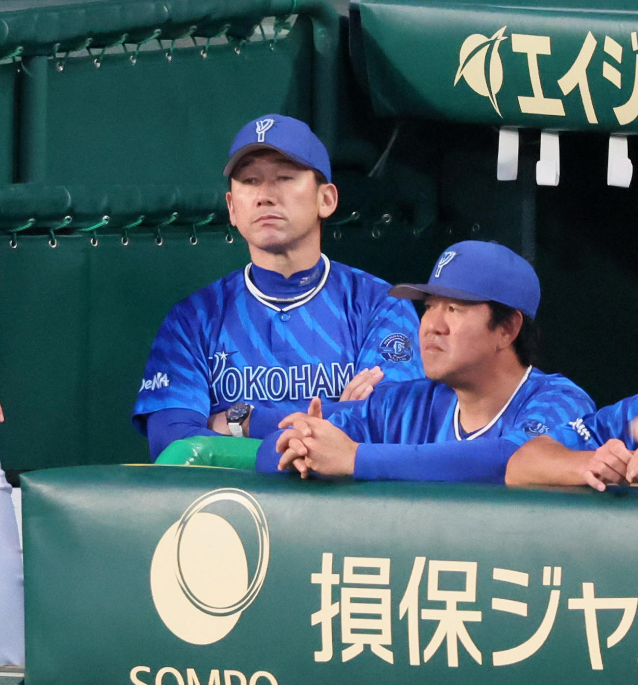 阪神対DeNA 5回表、ベンチから試合展開を見守る三浦監督（撮影・加藤哉）