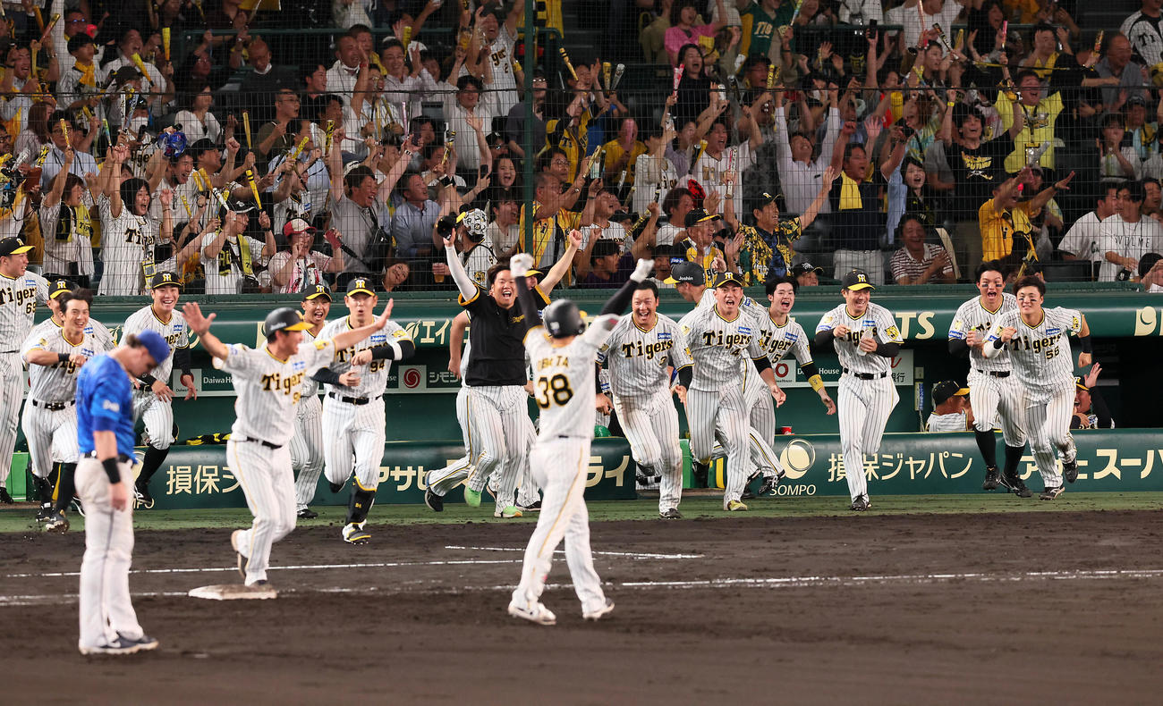 阪神対DeNA 9回裏阪神2死一、二塁、小幡（手前）のサヨナラ適時打に歓喜する阪神の選手たち（撮影・加藤哉）