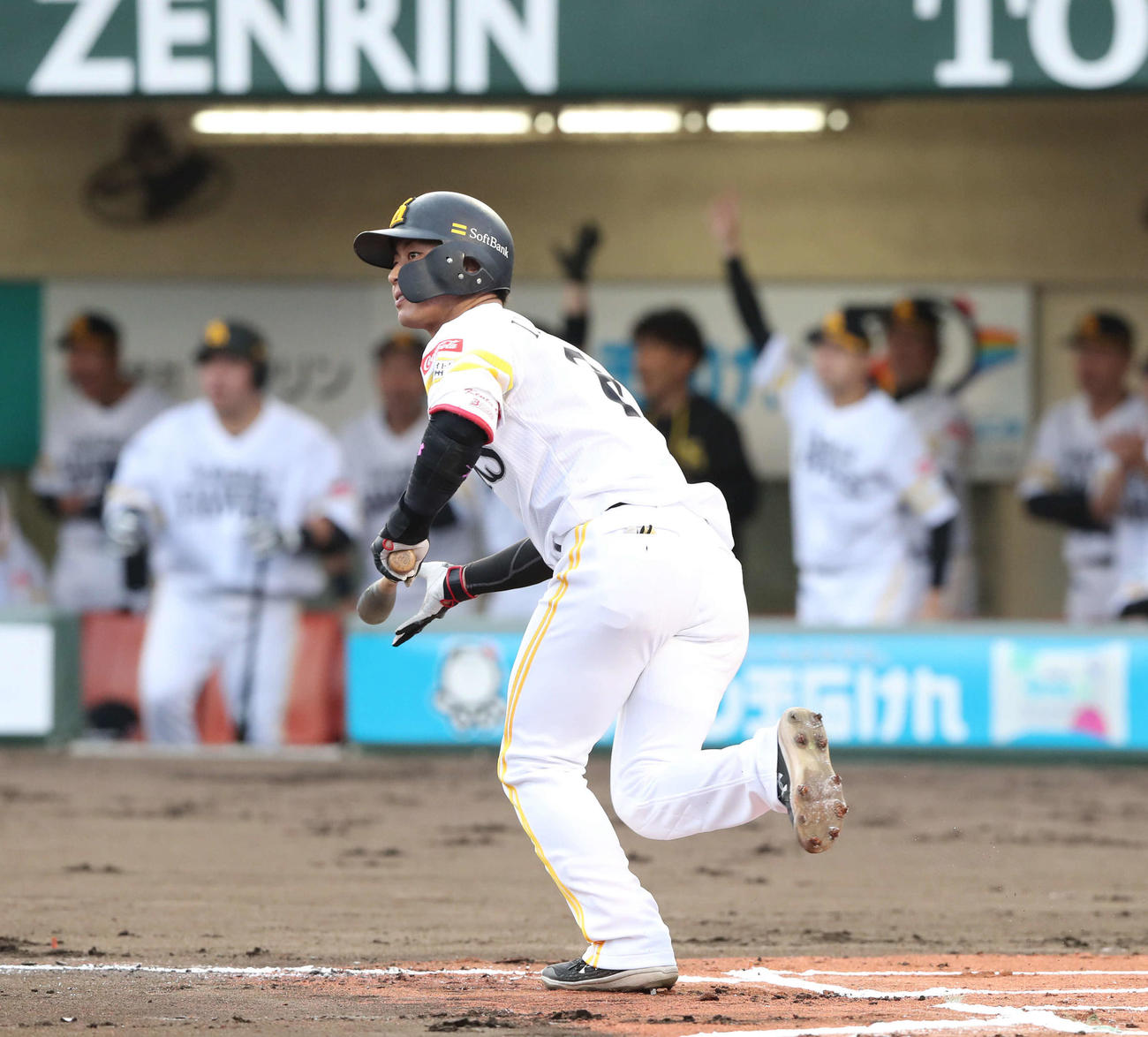 ソフトバンク対ロッテ　1回裏ソフトバンク1死、今宮は左越え本塁打を放つ（撮影・梅根麻紀）