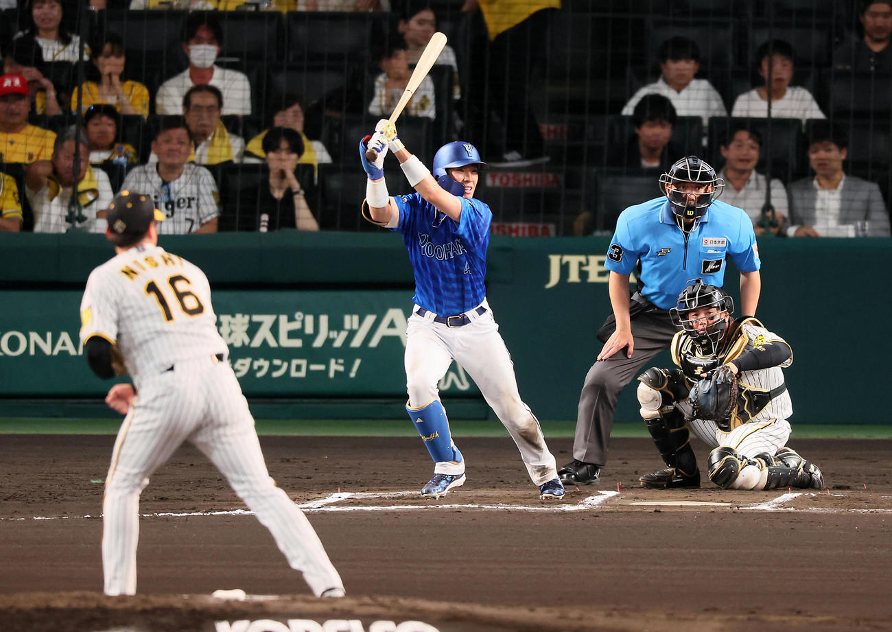 阪神対DeNA 6回表DeNA1死、度会は左前打を放つ。投手は西勇（撮影・加藤哉）