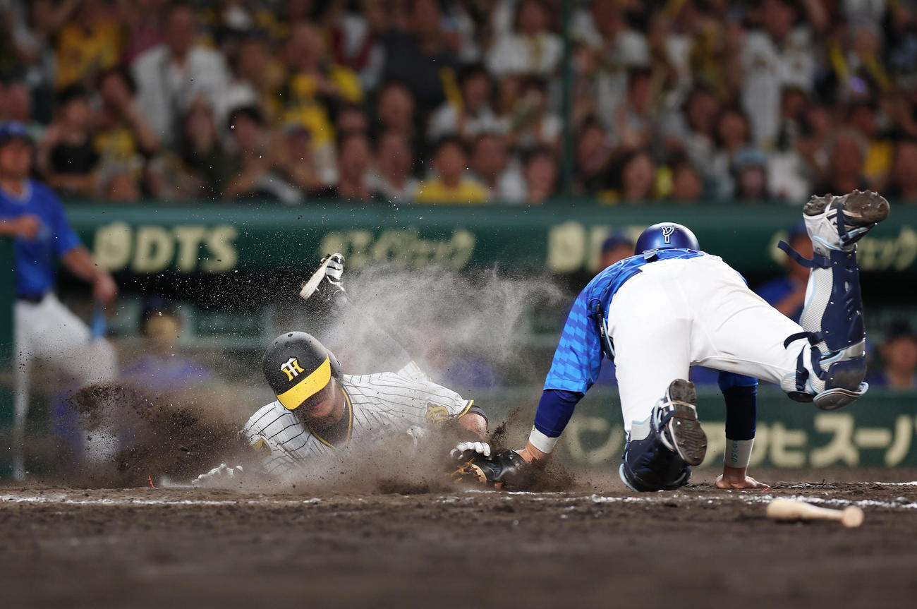 阪神対DeNA 9回裏阪神2死一、二塁、小幡のサヨナラ適時打で生還する植田（左）。捕手山本（撮影・前田充）