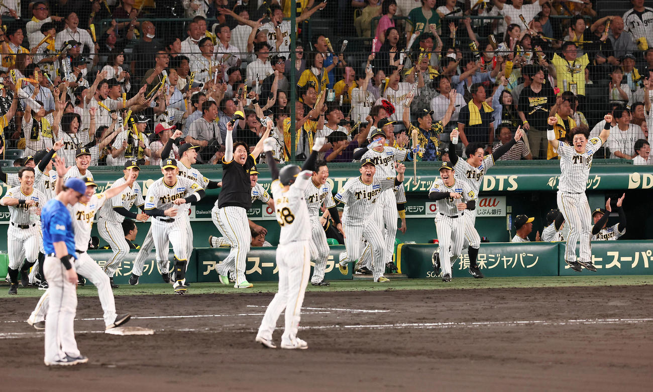 阪神対DeNA 9回裏阪神2死一、二塁、小幡のサヨナラ適時打に歓喜する阪神ナイン（撮影・加藤哉）