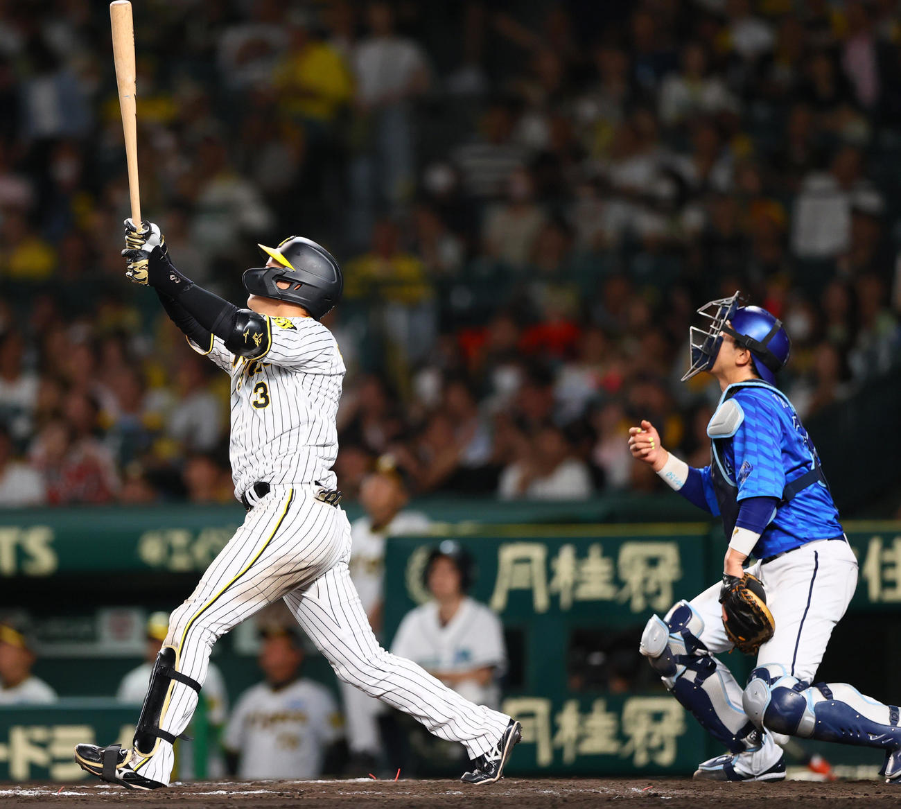 阪神対DeNA 9回裏阪神無死、大山は右邪飛に倒れる（撮影・上山淳一）