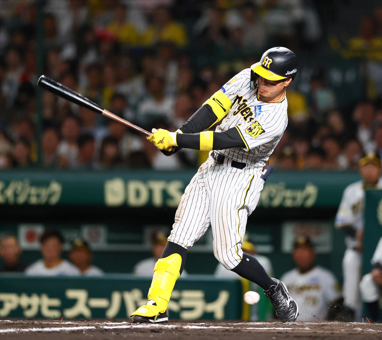 阪神対DeNA 7回表阪神1死、佐藤輝は空振り三振に終わる（撮影・上山淳一）