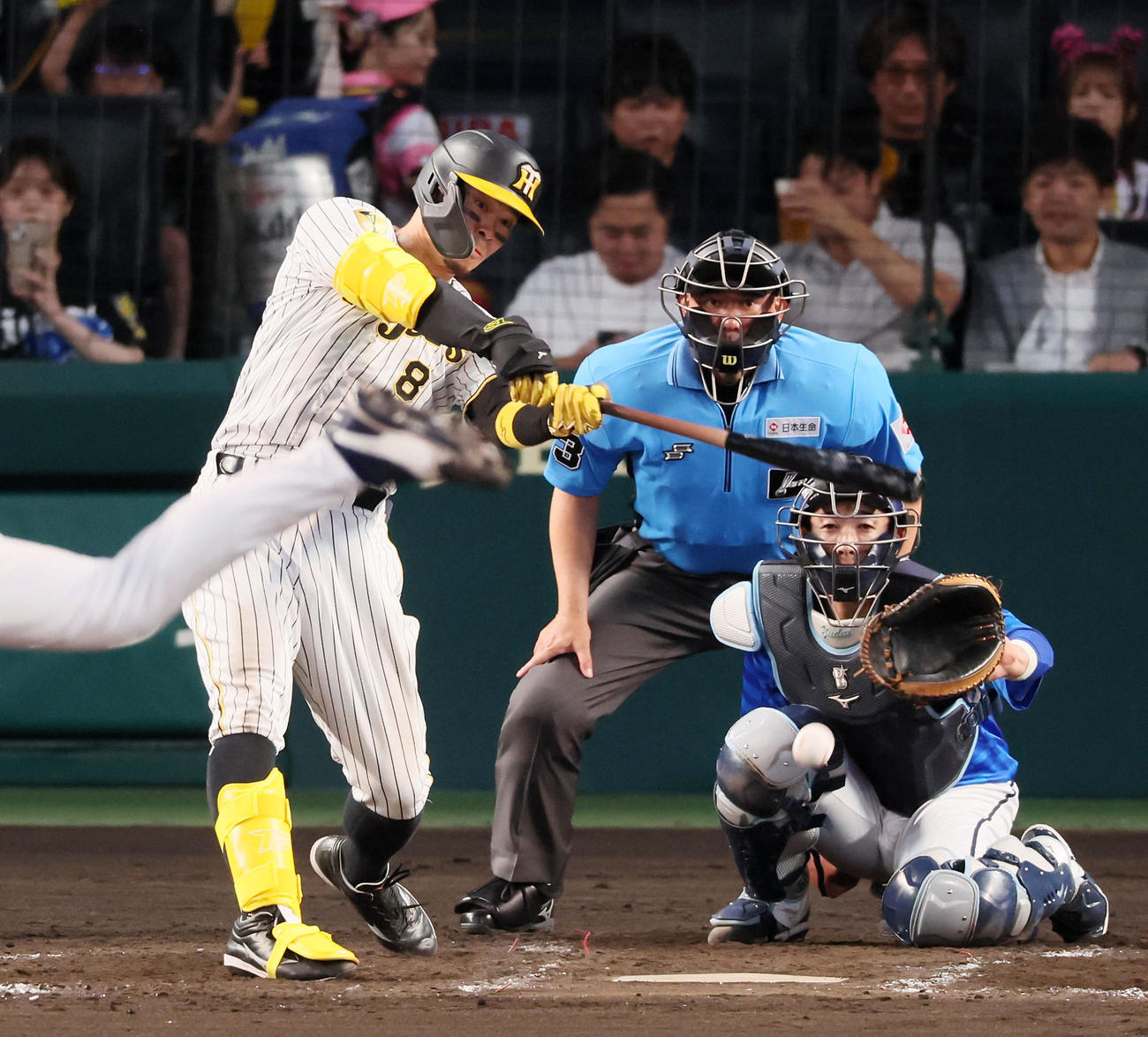 阪神対DeNA 5回裏阪神無死、佐藤輝は中前打を放つ（撮影・加藤哉）