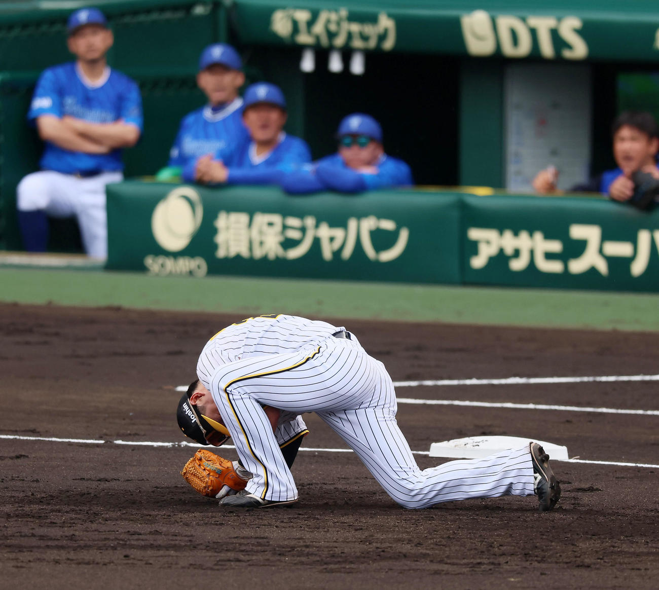 阪神対DeNA 3回表DeNA1死、渡辺は東の打球をエラーする（撮影・加藤哉）
