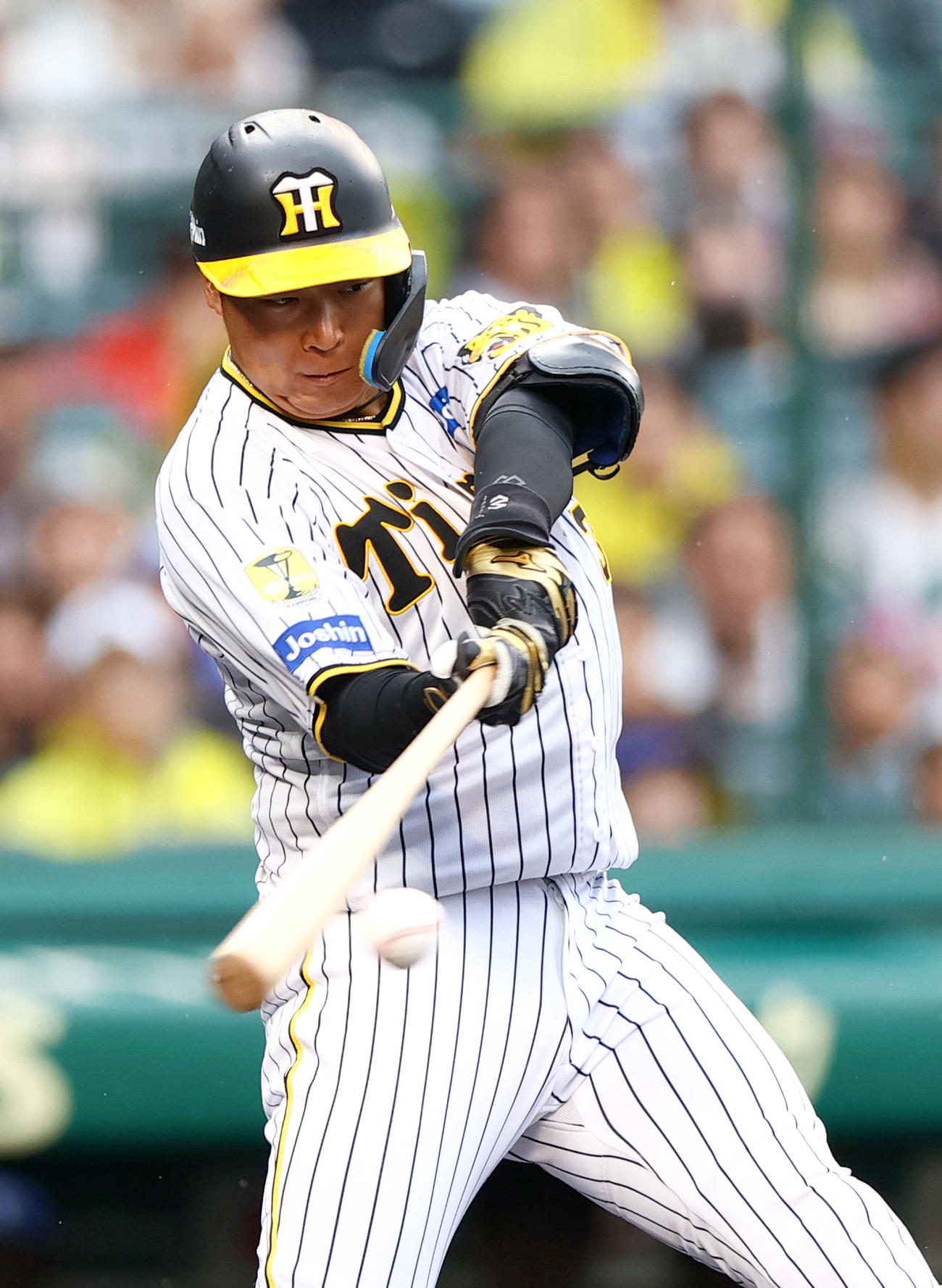 阪神対DeNA 6回裏阪神2死、大山は投ゴロに倒れる（撮影・上山淳一）