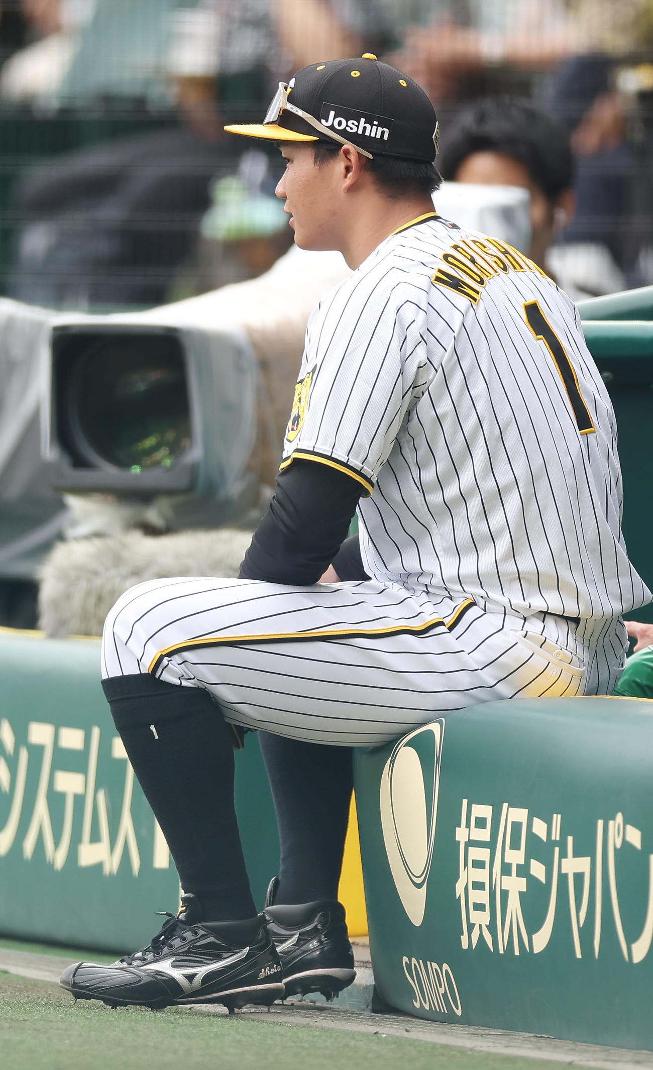 阪神対DeNA　スタメンを外れた阪神森下（撮影・前田充）